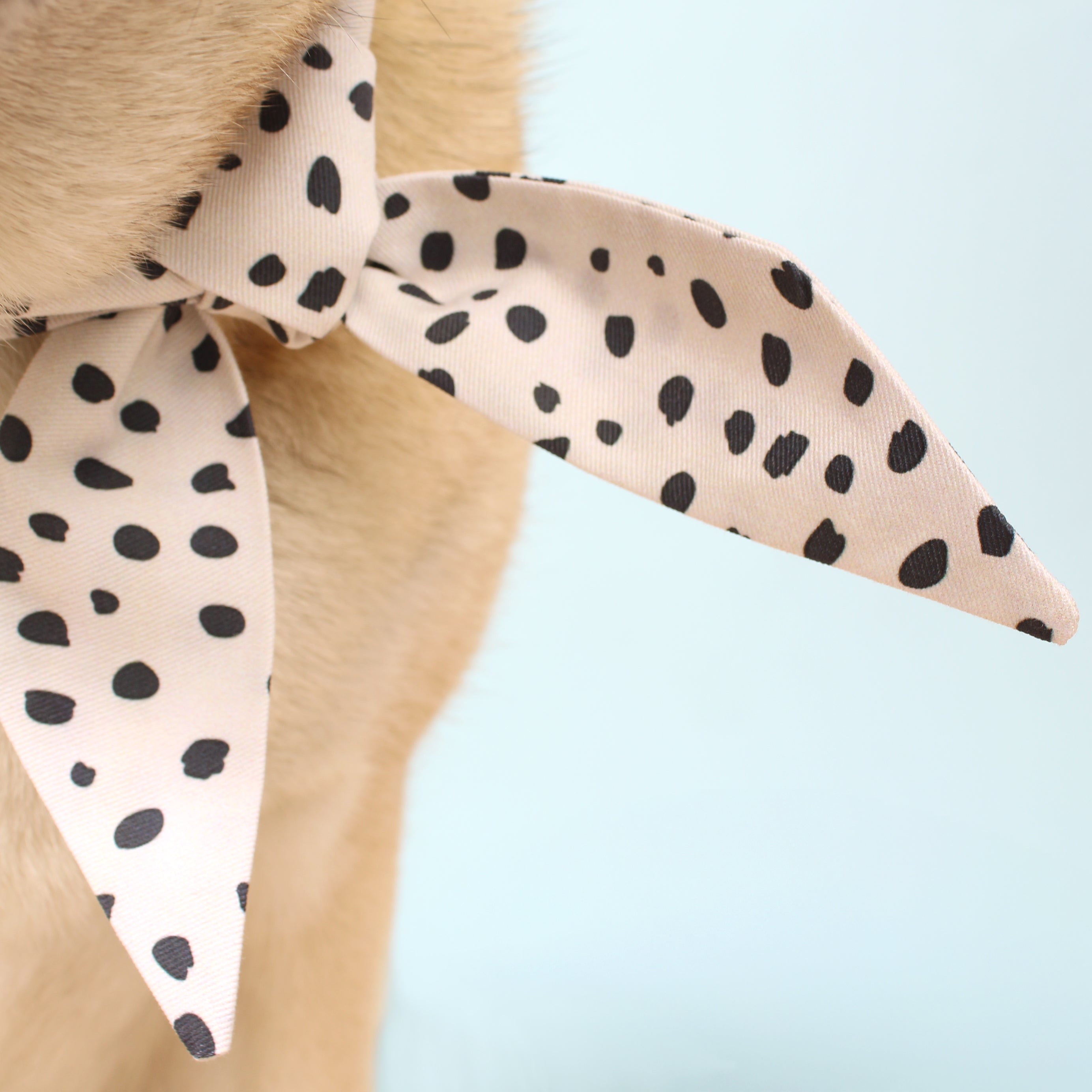 Bowie - Deluxe Frenchie Twist Dog Necktie