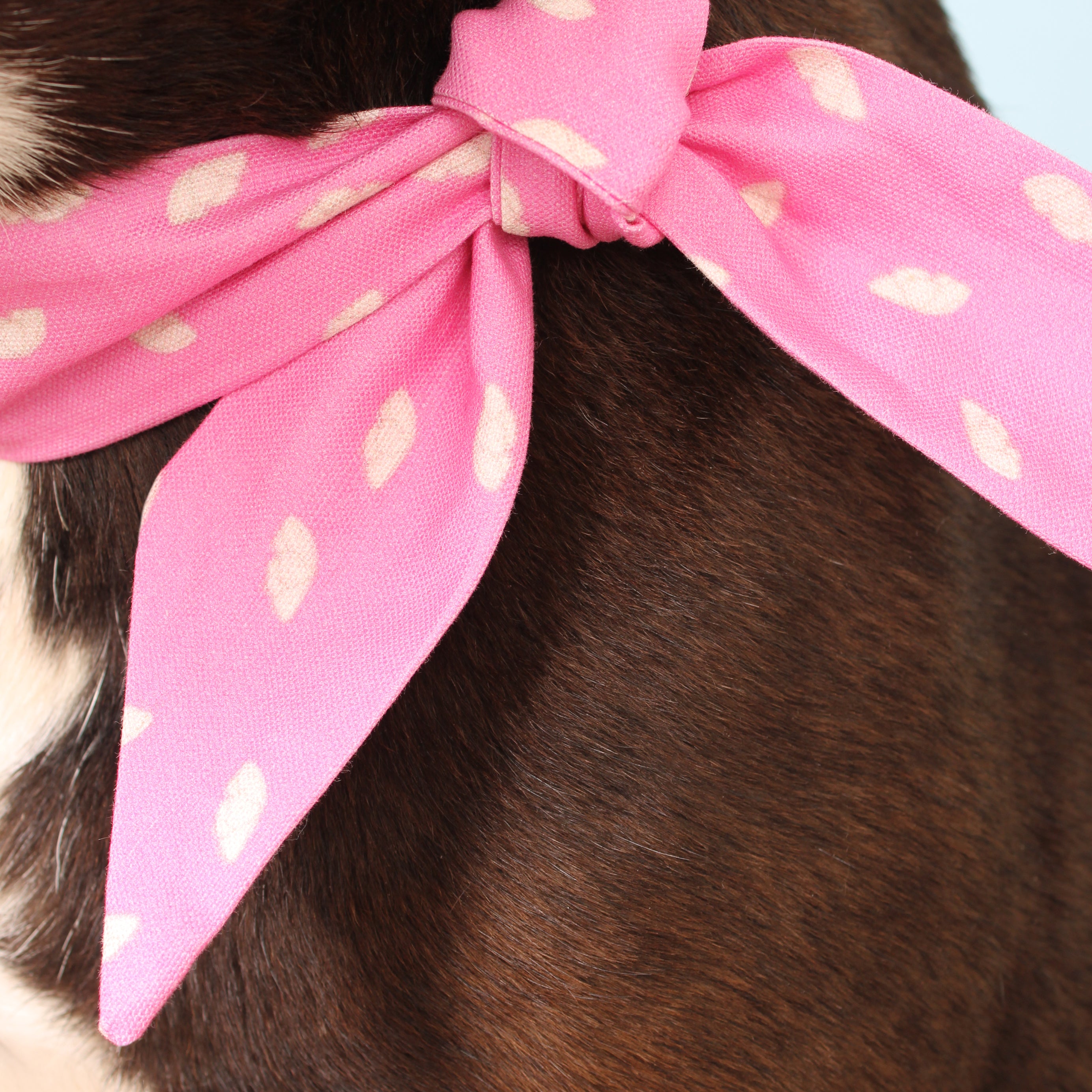 Breezy - Deluxe Frenchie Twist Dog Necktie