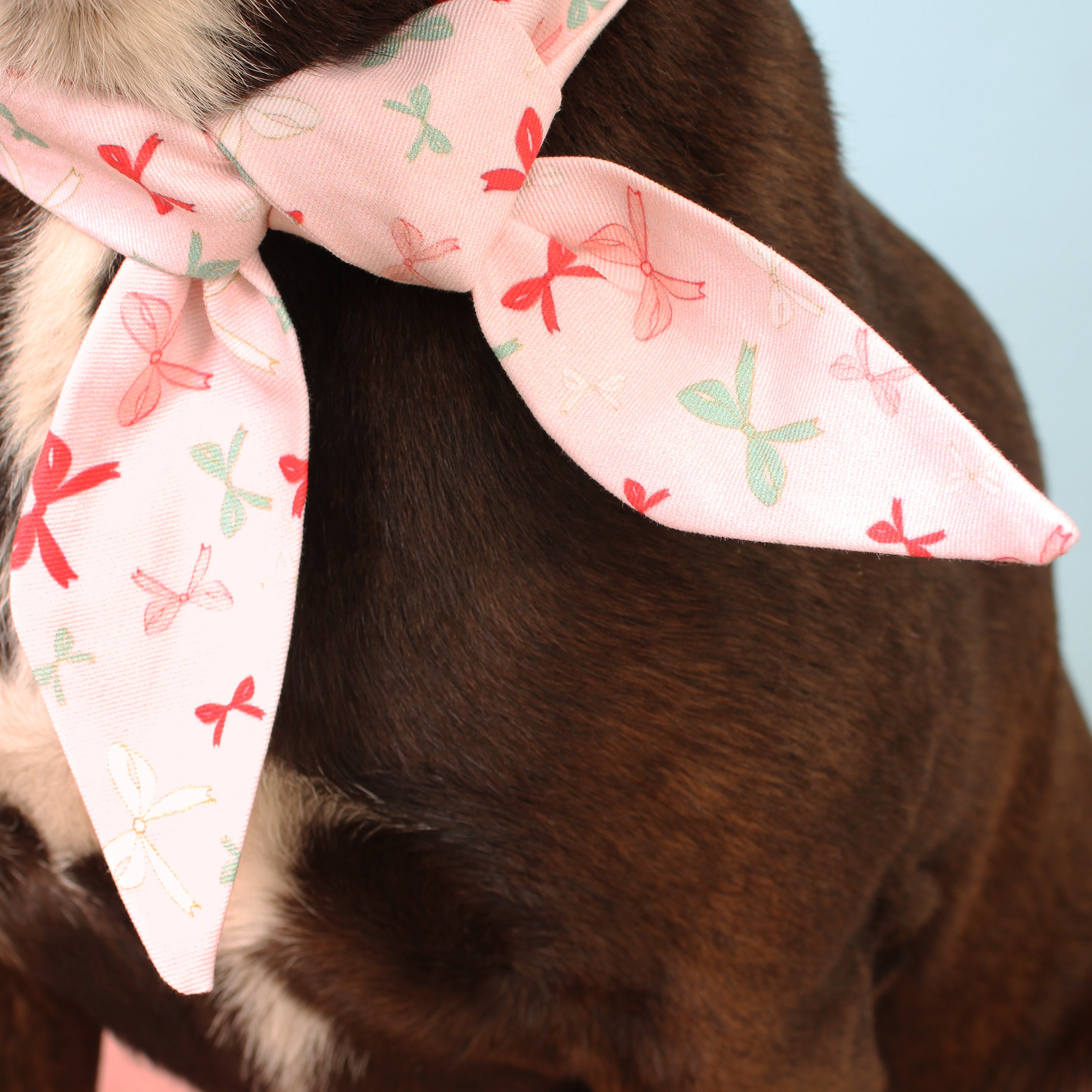 Floating Bows - Deluxe Frenchie Twist Dog Necktie