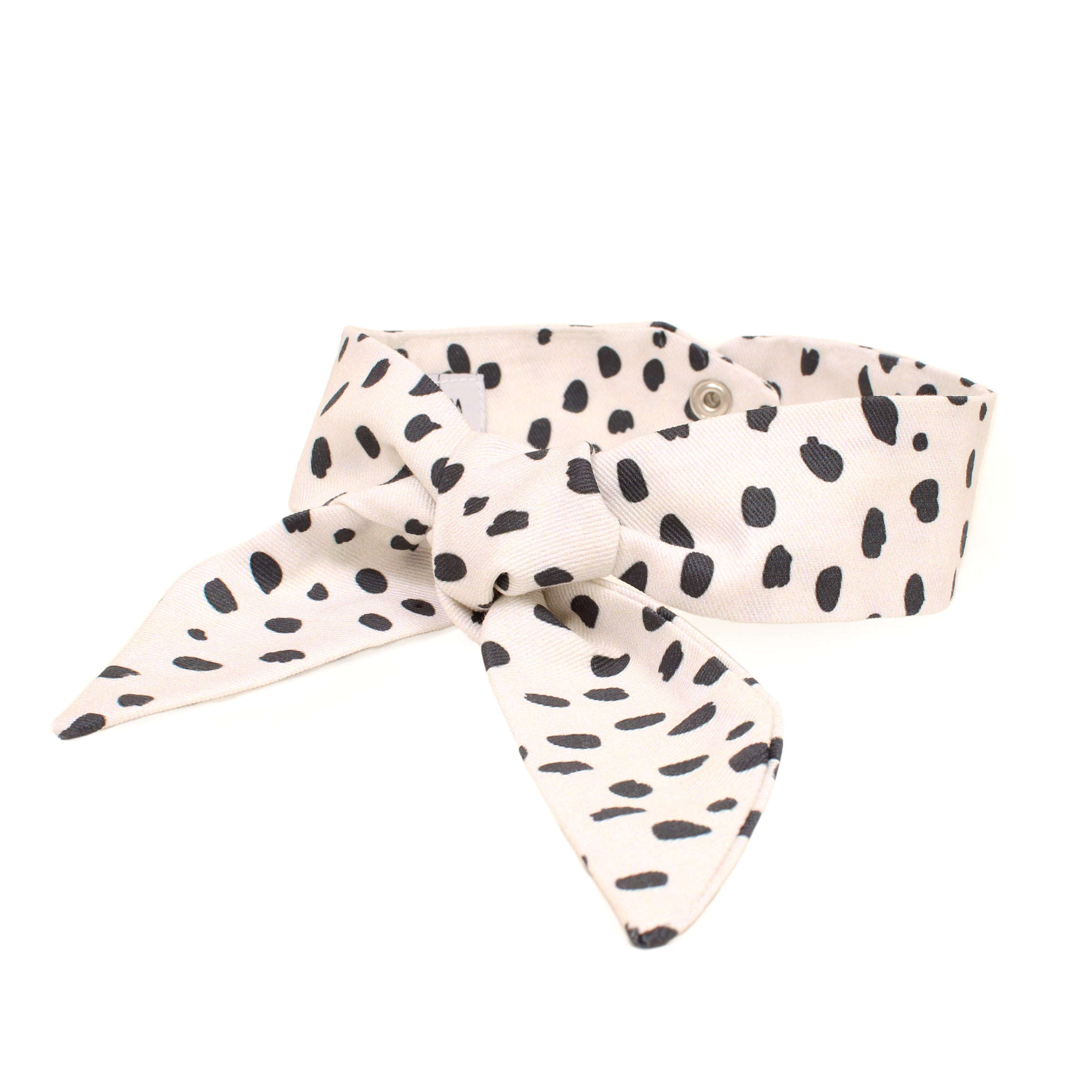 White belt with black polka dots on a white background