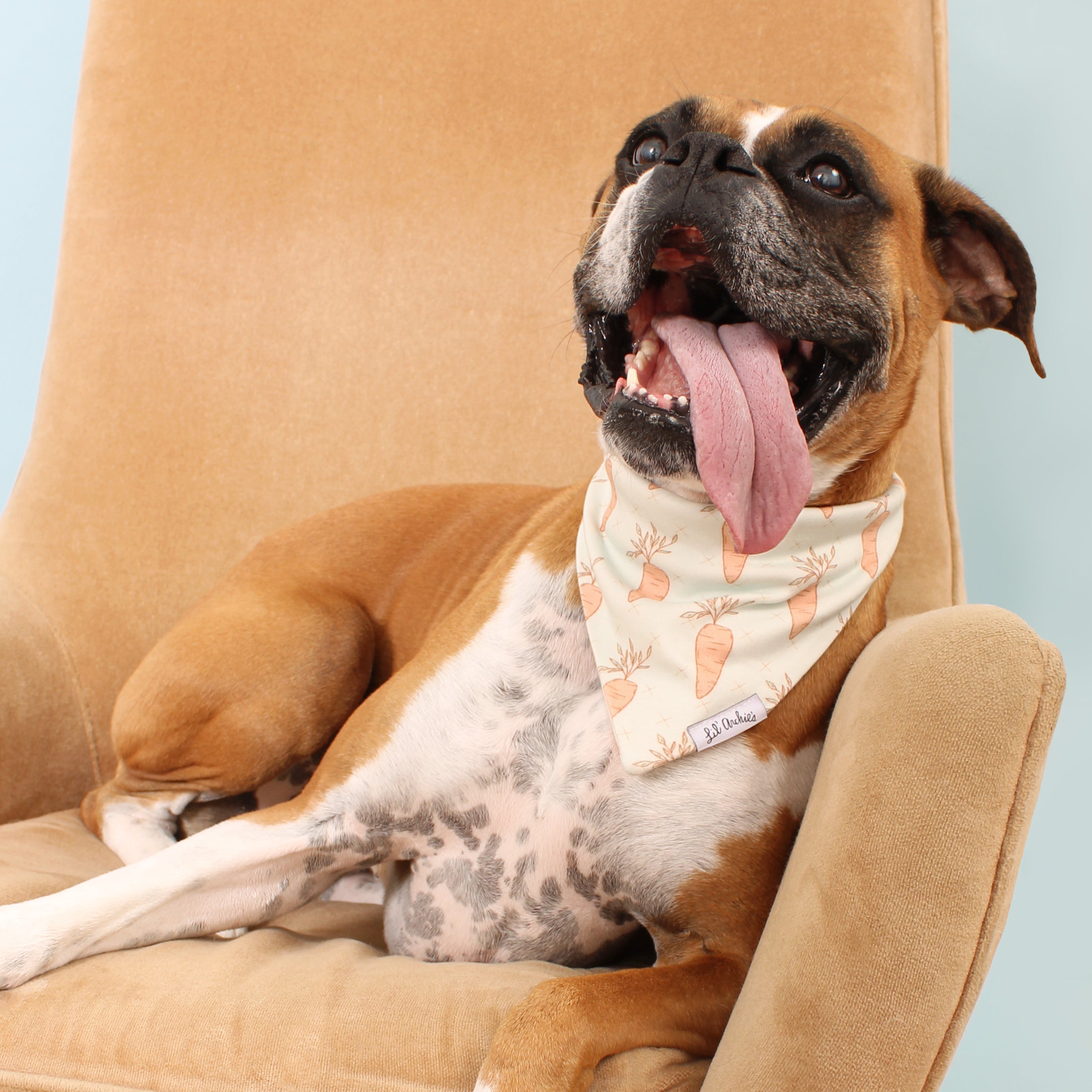 24 Carrot Gold - Dog Bandana