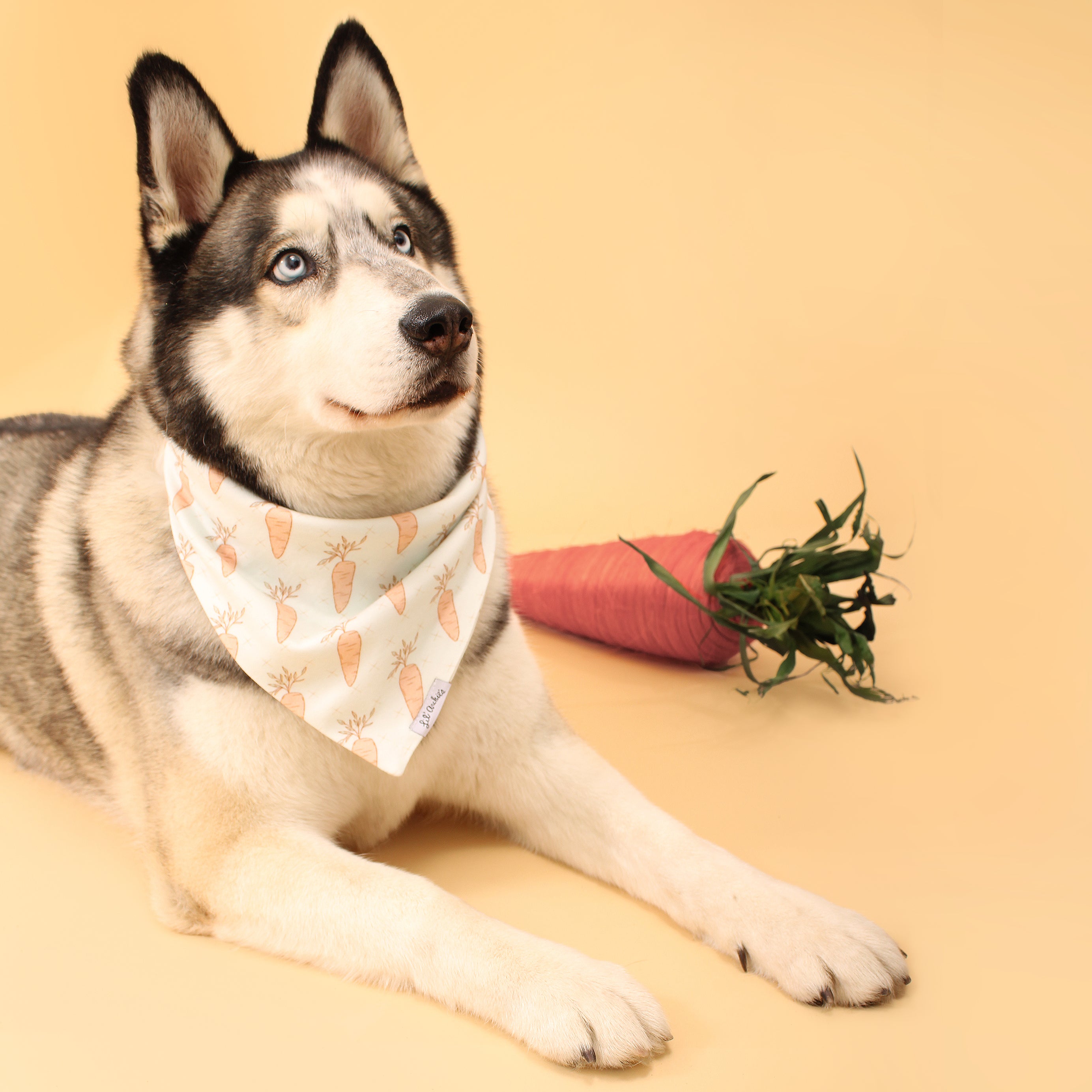 24 Carrot Gold - Dog Bandana