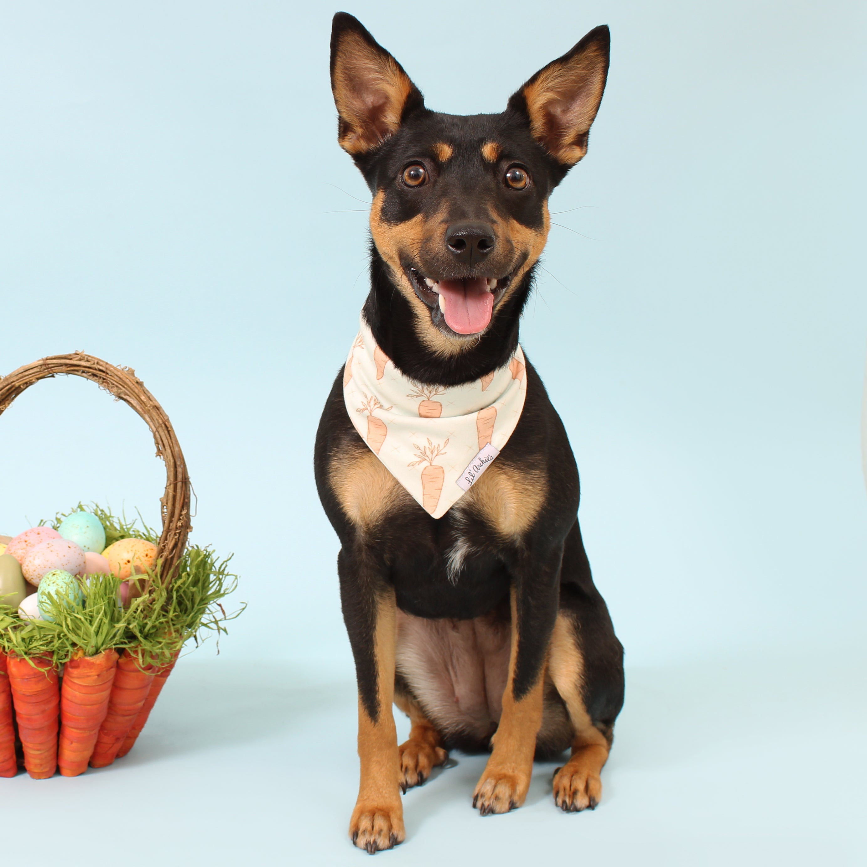 24 Carrot Gold - Dog Bandana