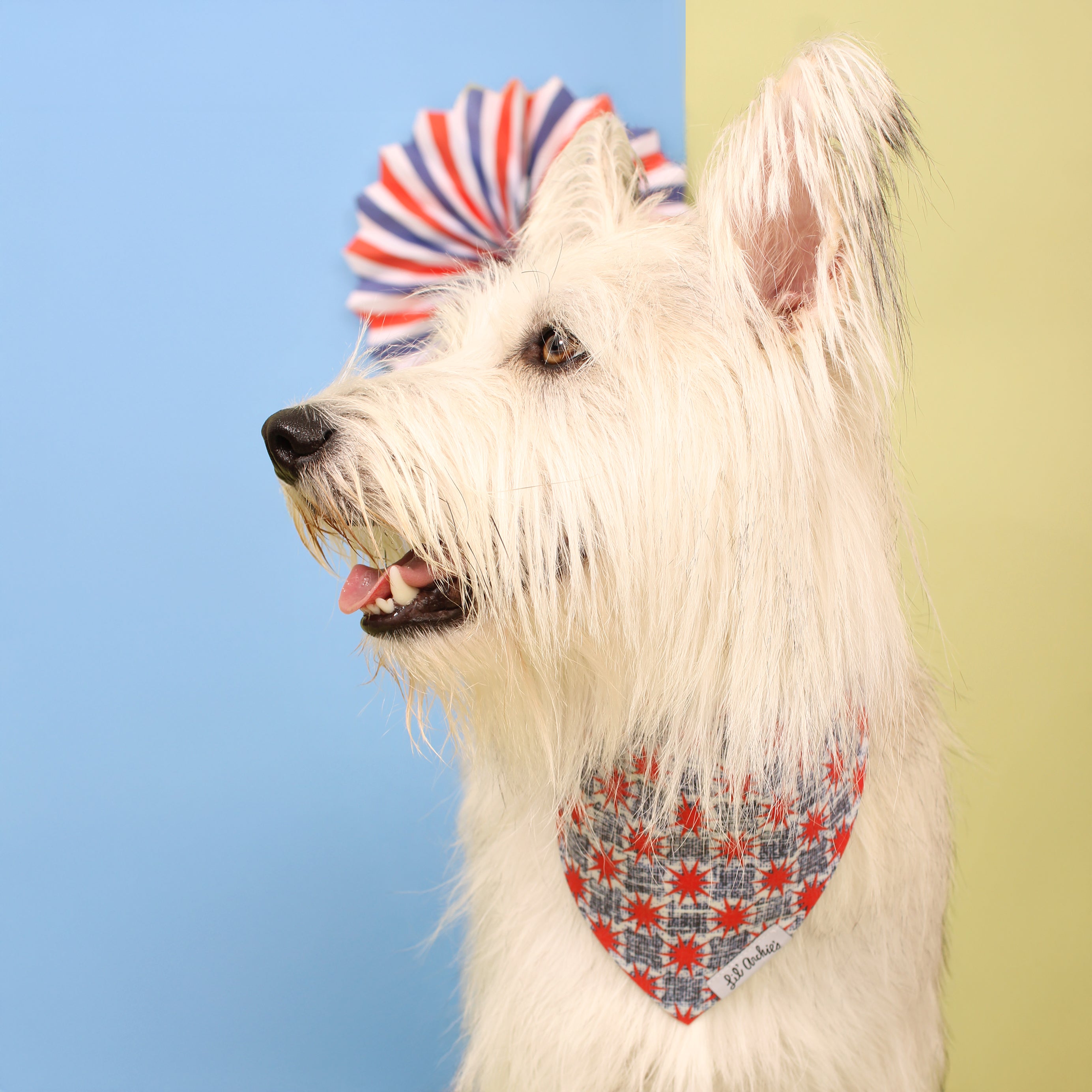 4th Spirit - Dog Bandana
