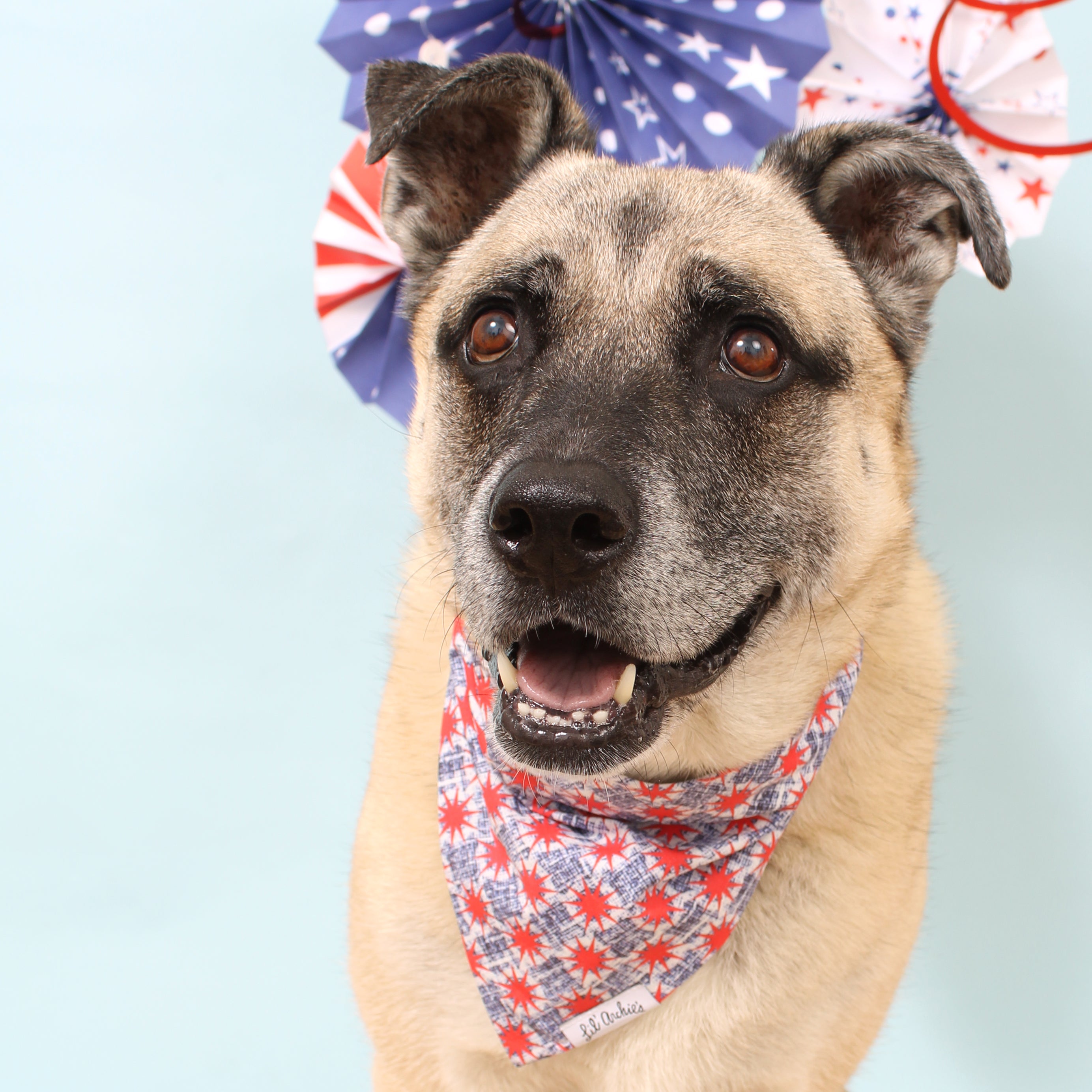 4th Spirit - Dog Bandana