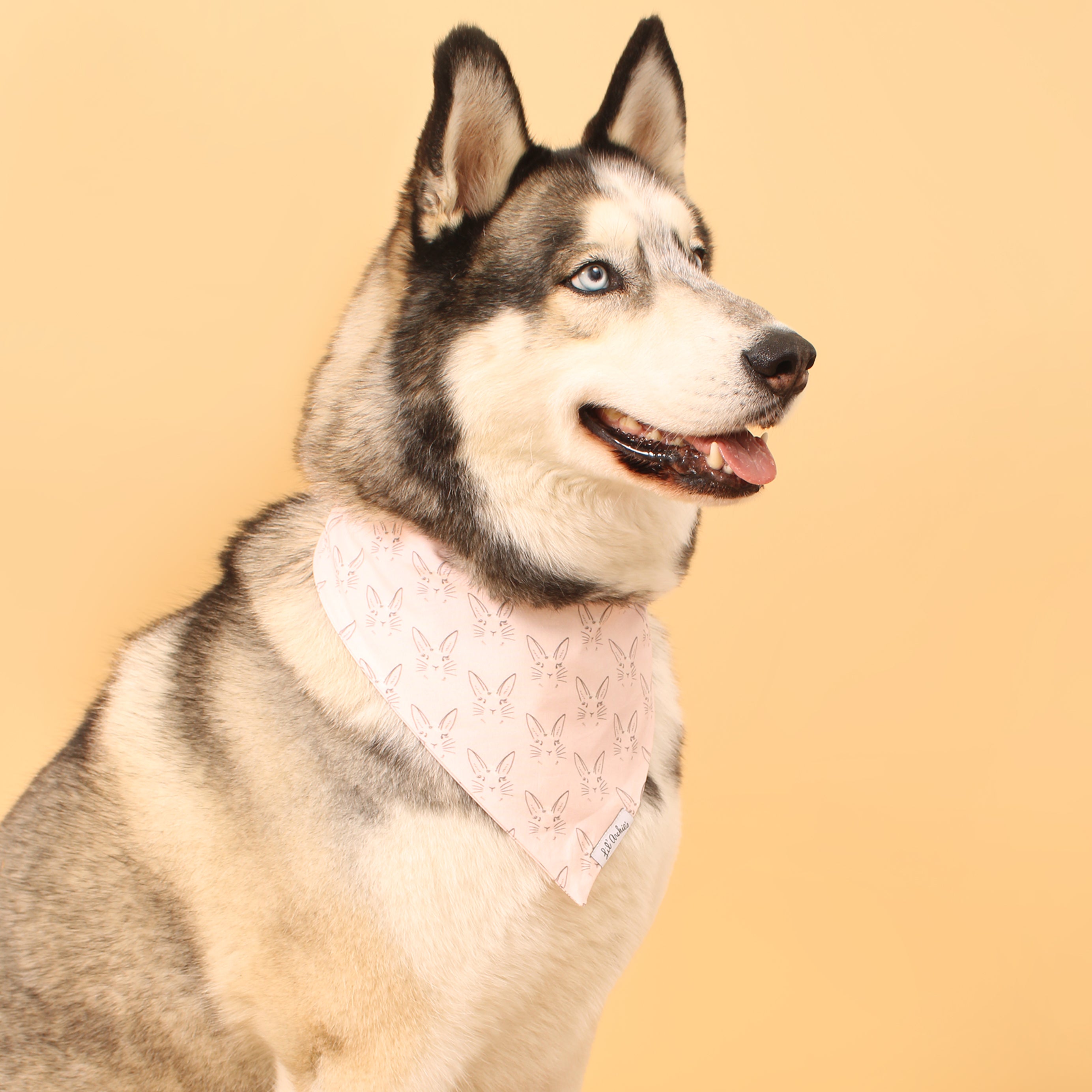 Bun Bun - Slimline Easter Dog Bandana