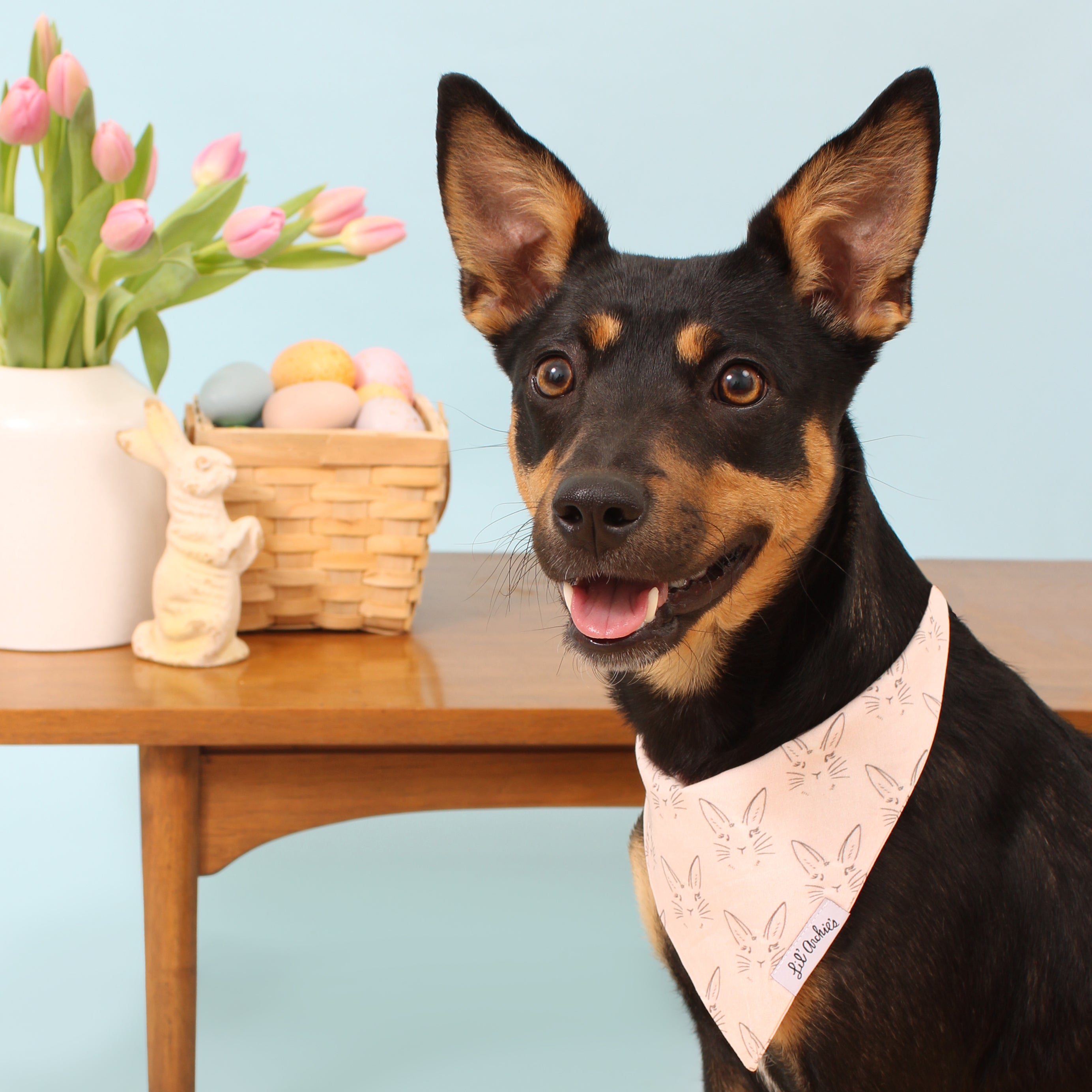 Bun Bun - Slimline Easter Dog Bandana