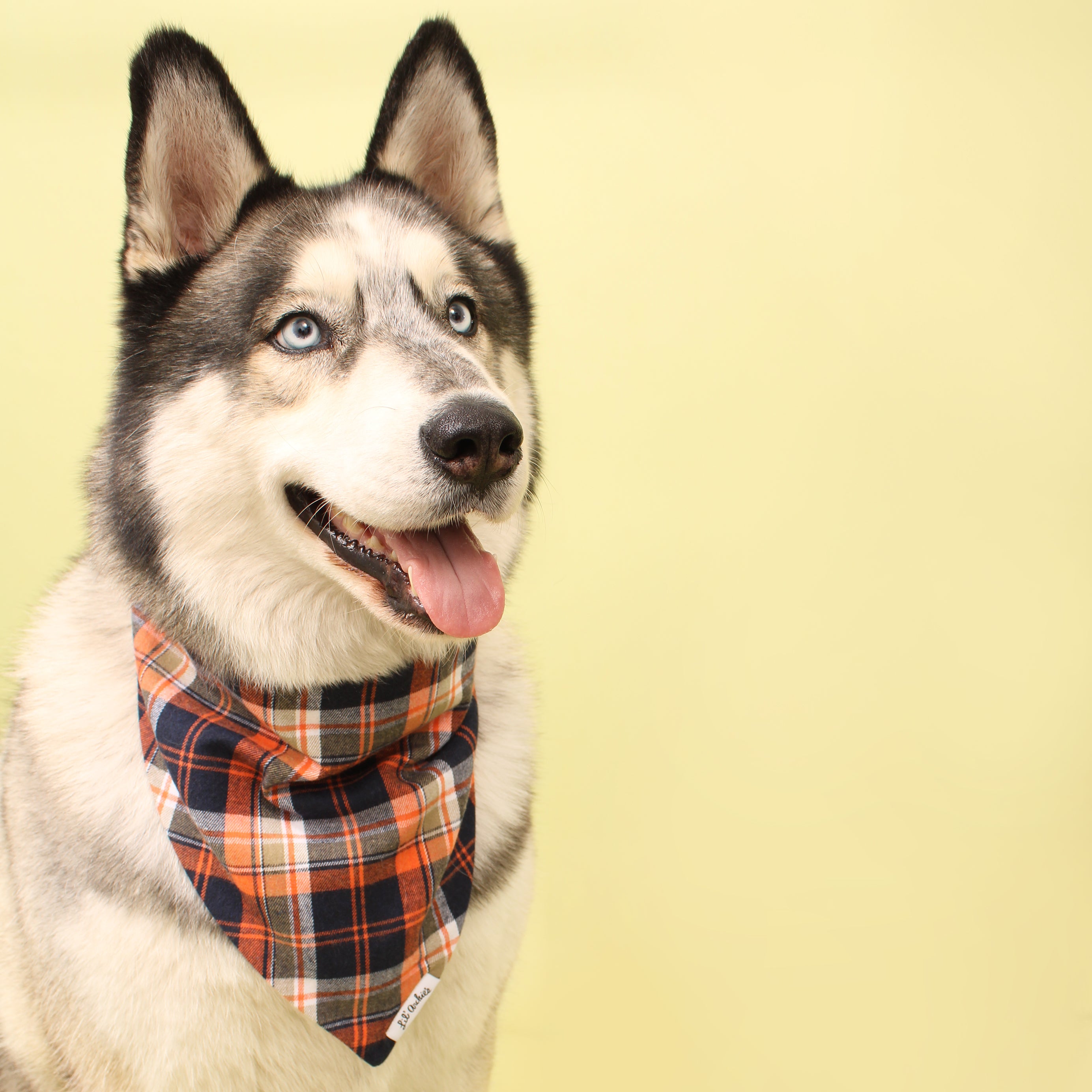 Campfire Nights Plaid Flannel - Dog Bandana