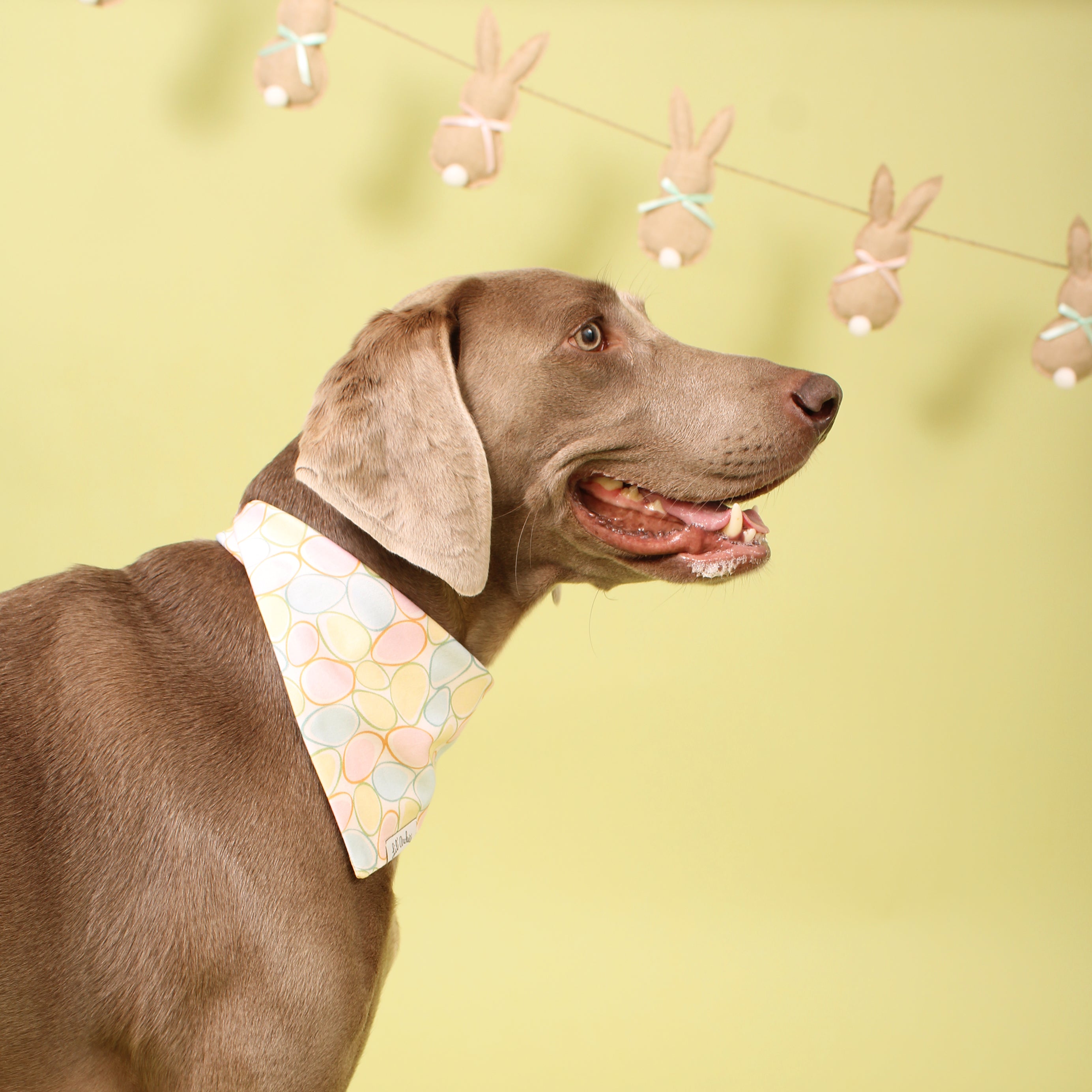 Eggcellent Pastels - Dog Easter Bandana