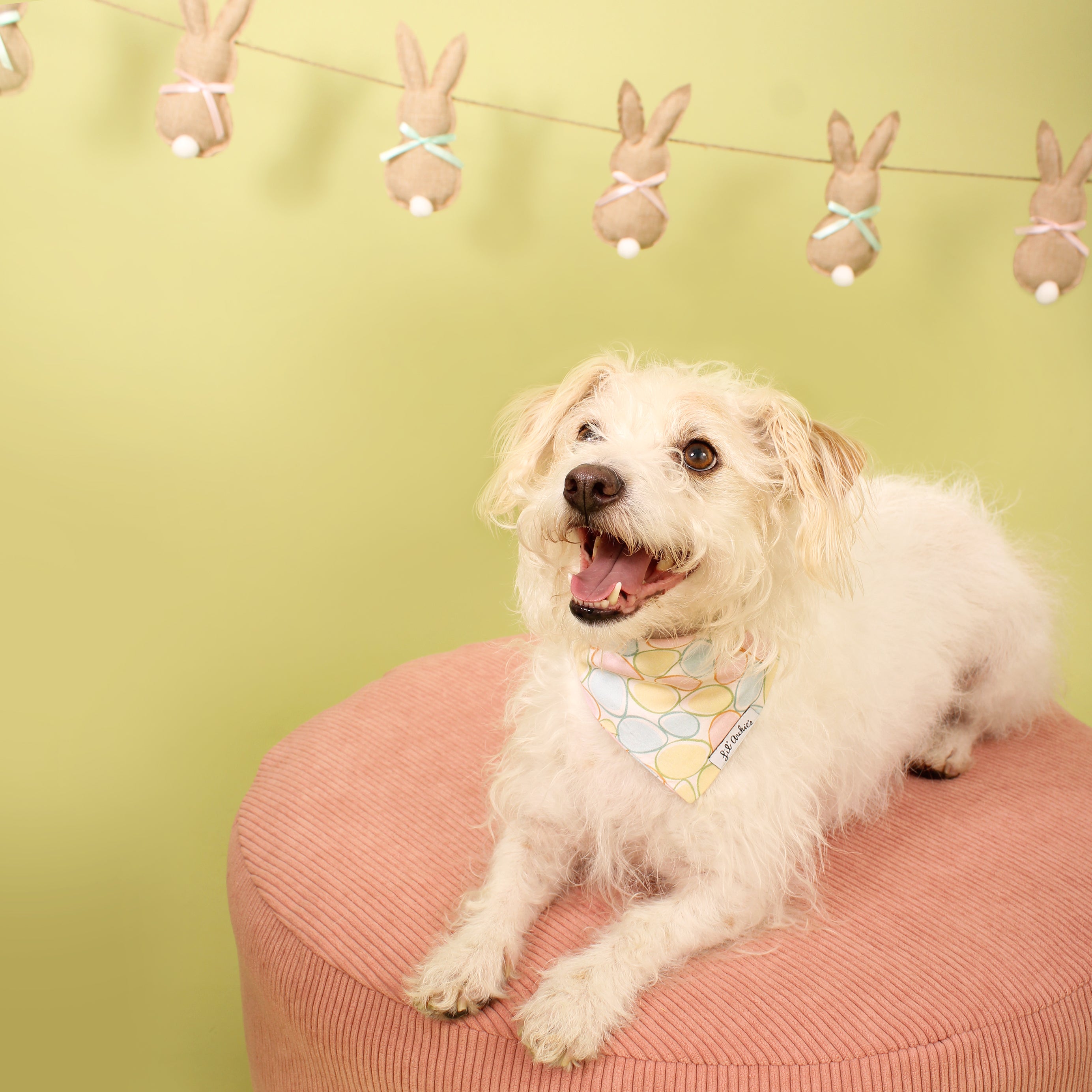 Eggcellent Pastels - Dog Easter Bandana