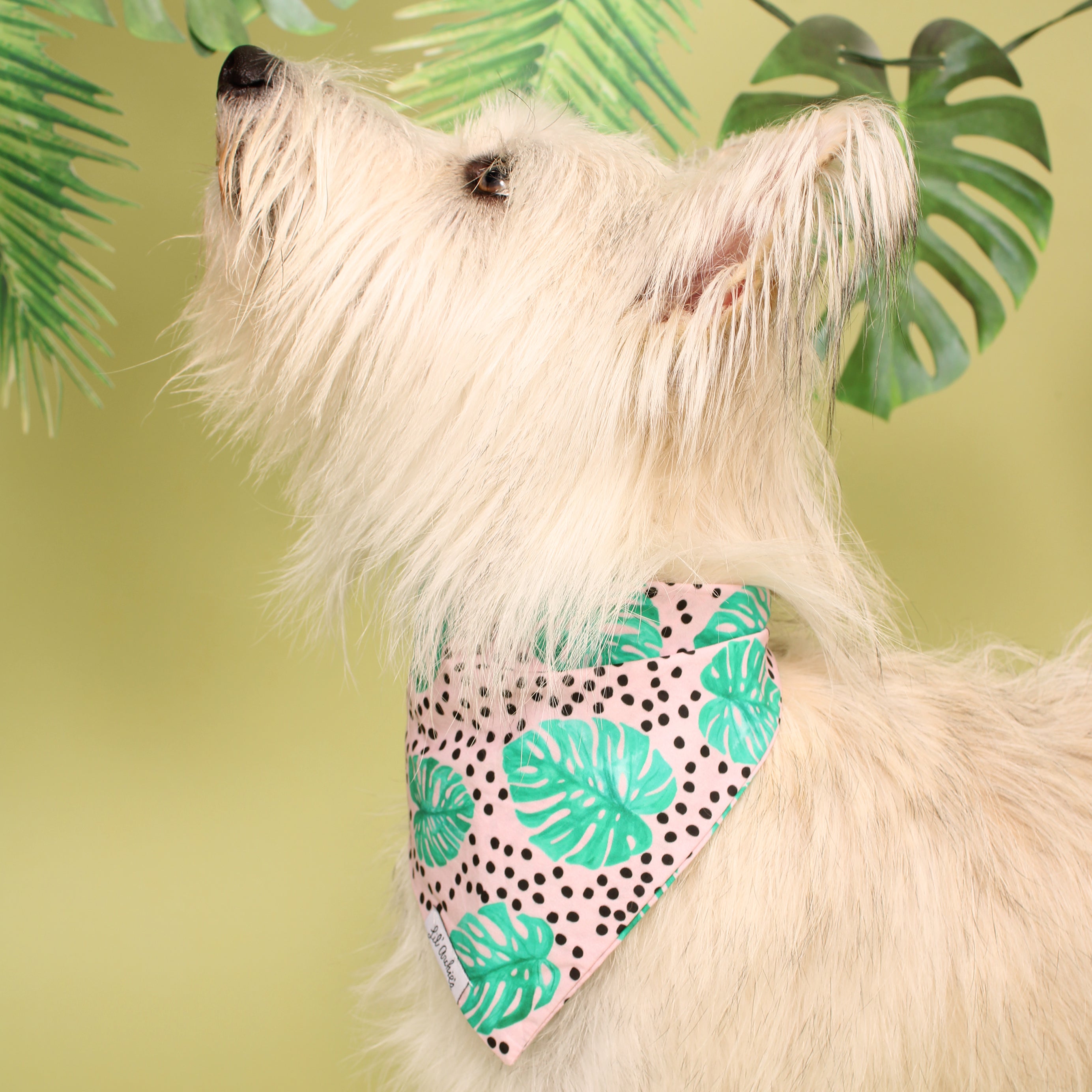 Jungle Fun - Dog Bandana