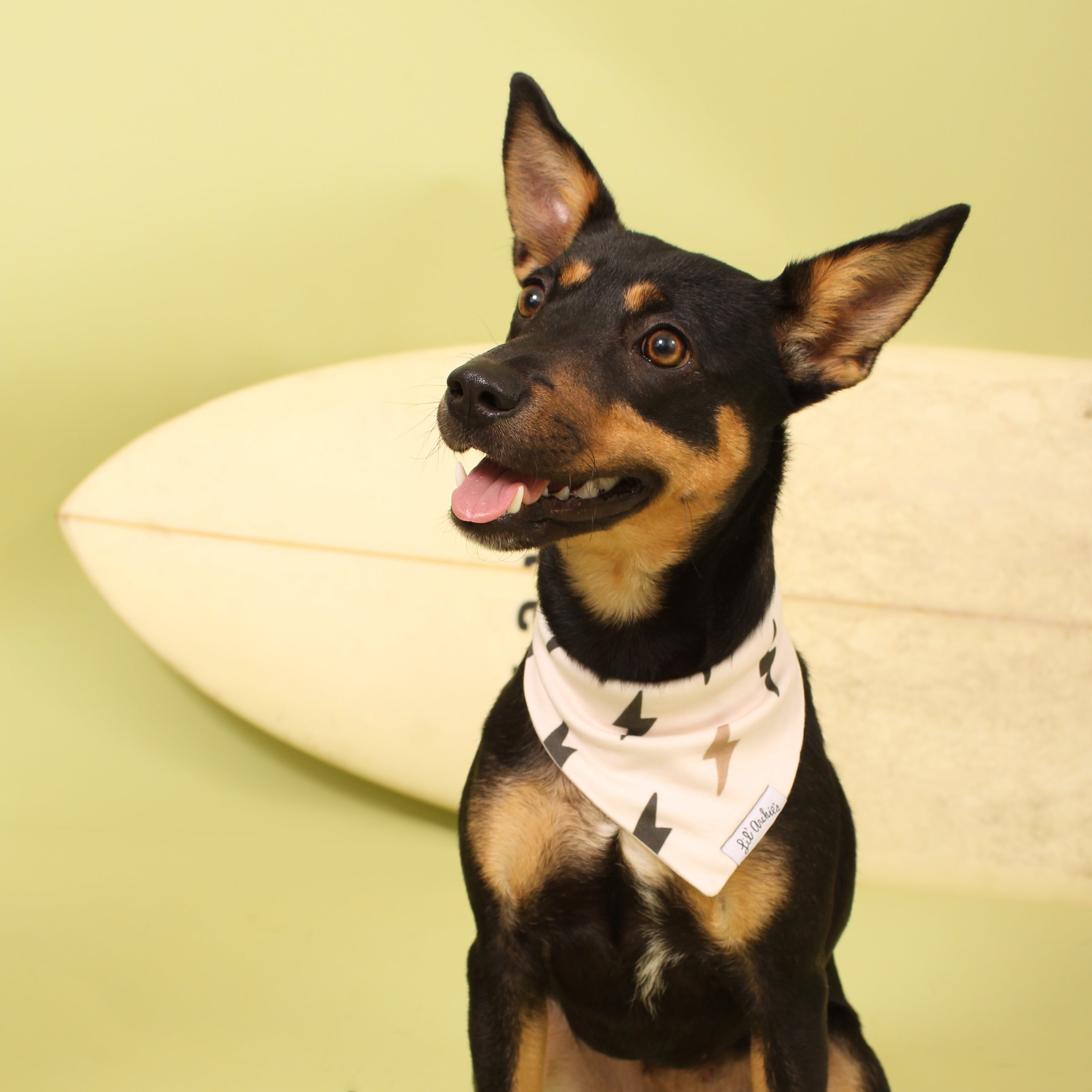 Lightning Strikes - Dog Bandana