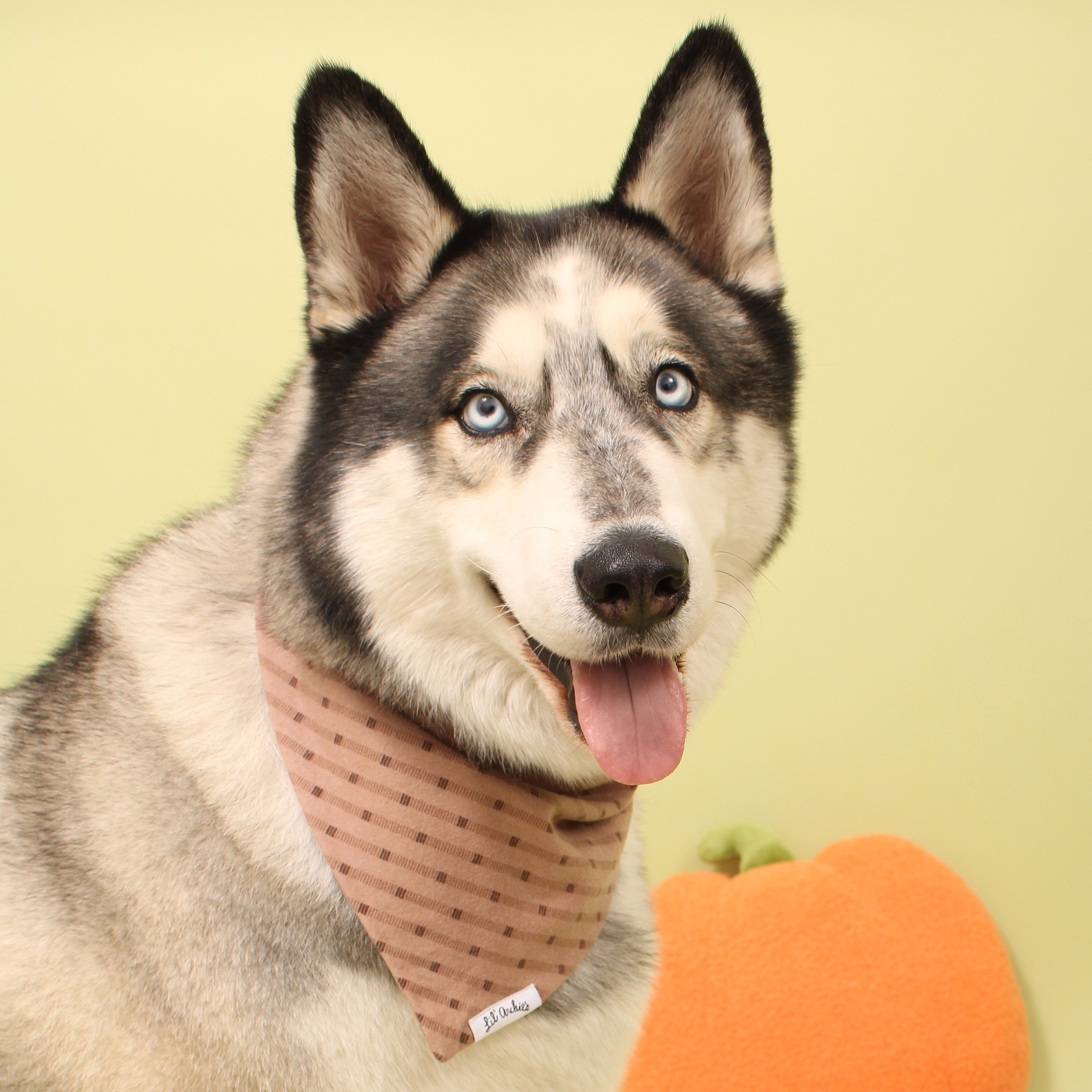 Modern Mocha Flannel - Dog Bandana