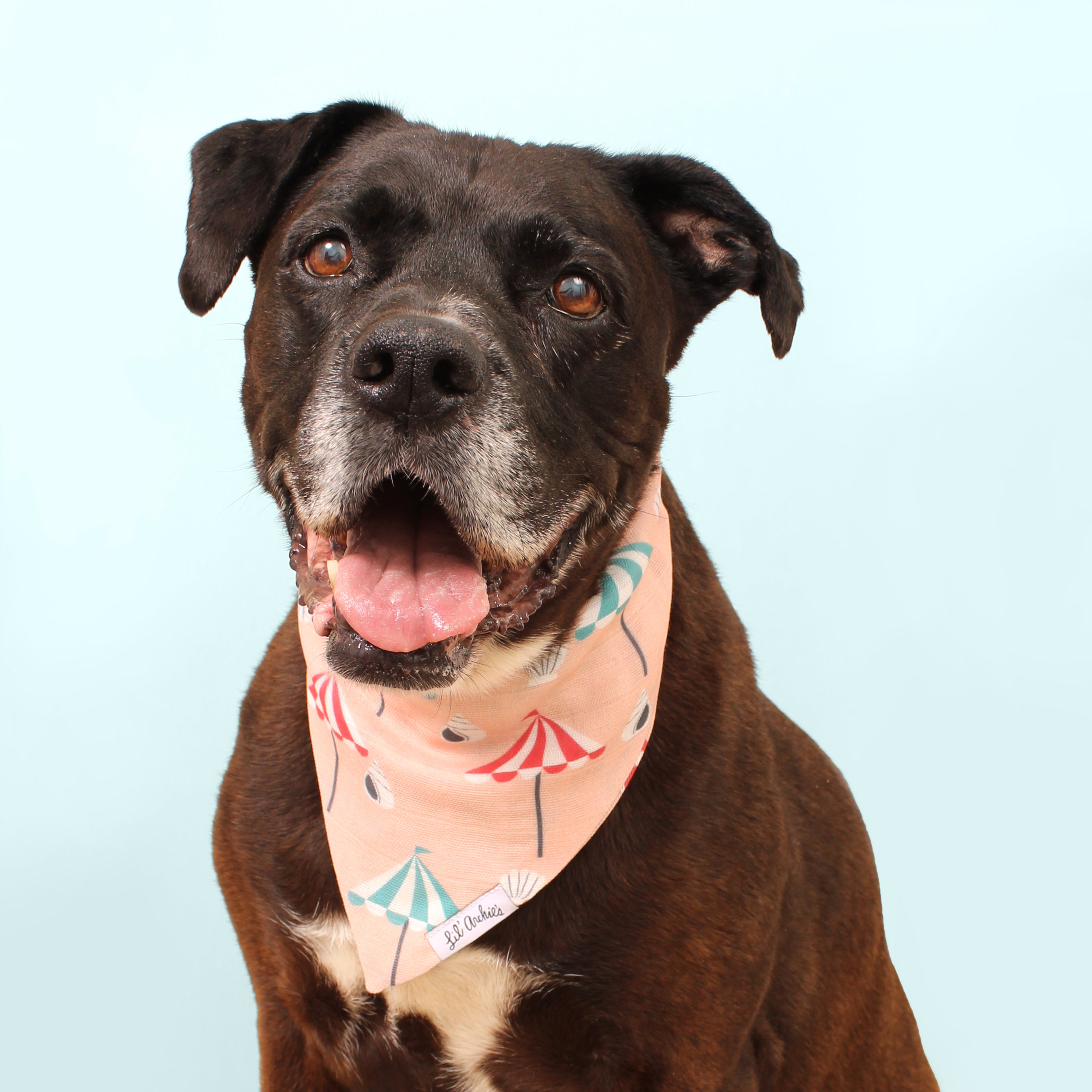 St. Tropez Day - Dog Bandana