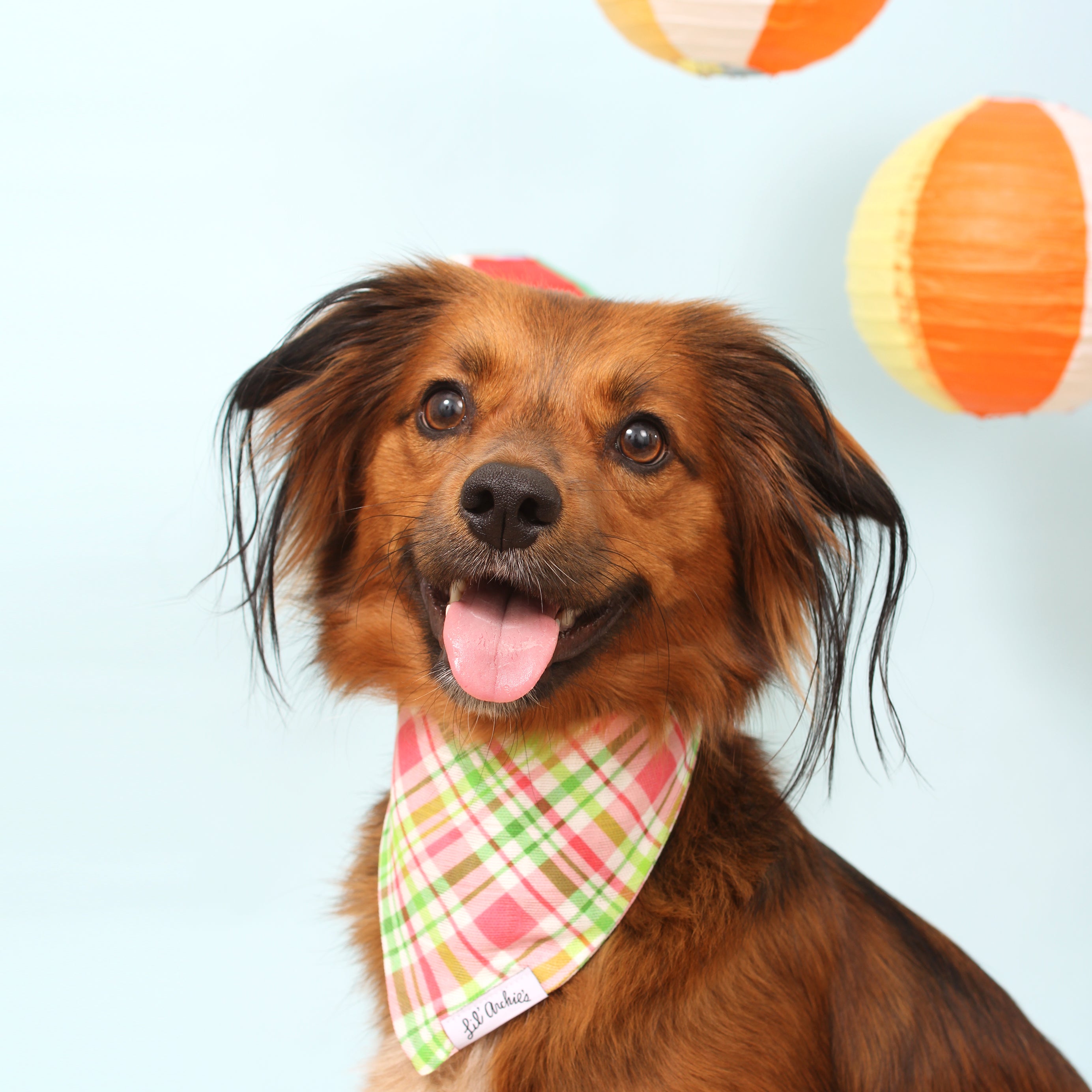 Watermelon Plaid - Dog Bandana
