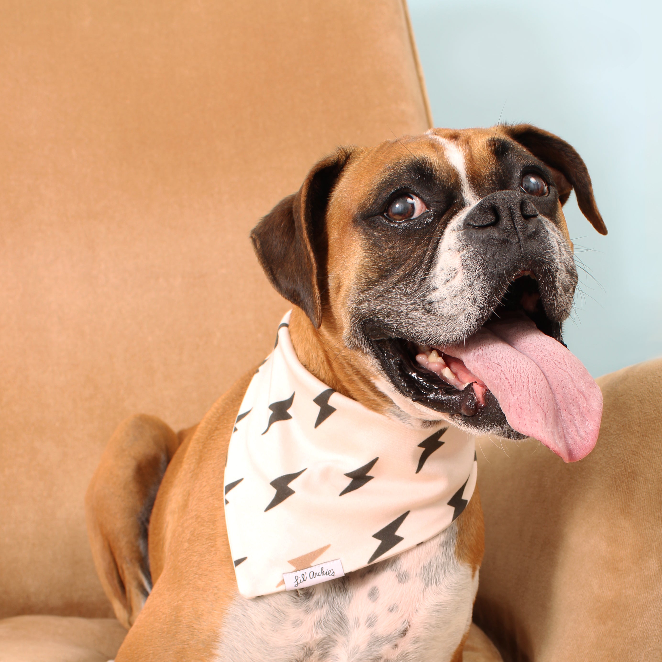 Lightning Strikes - Dog Bandana