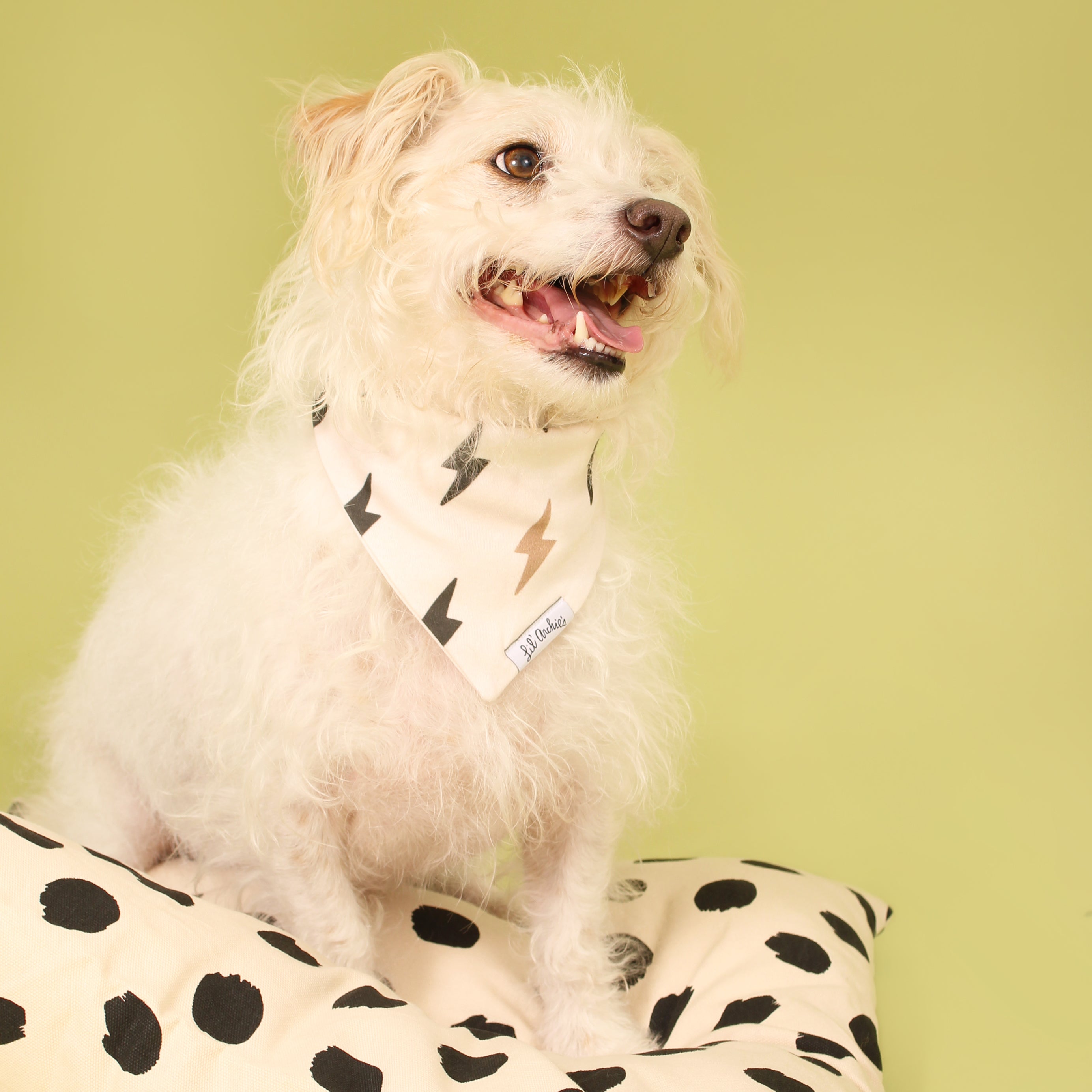 Lightning Strikes - Dog Bandana