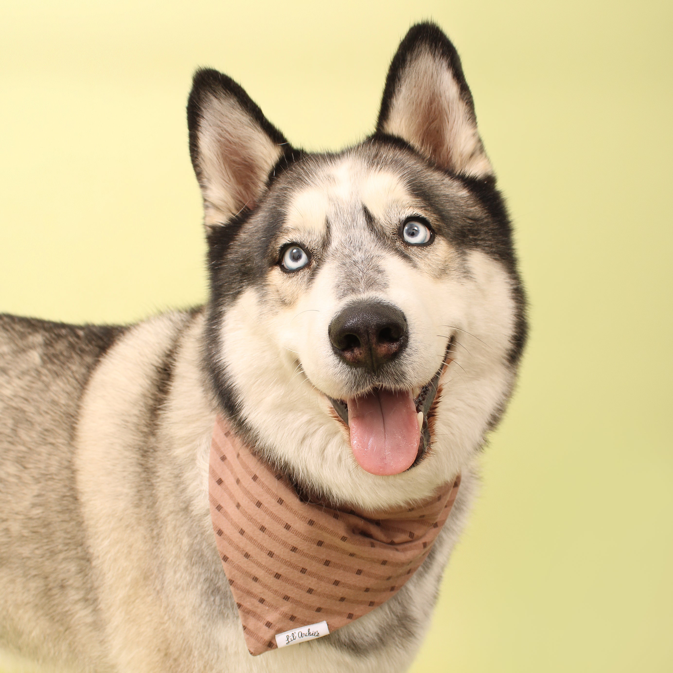 Modern Mocha Flannel - Dog Bandana