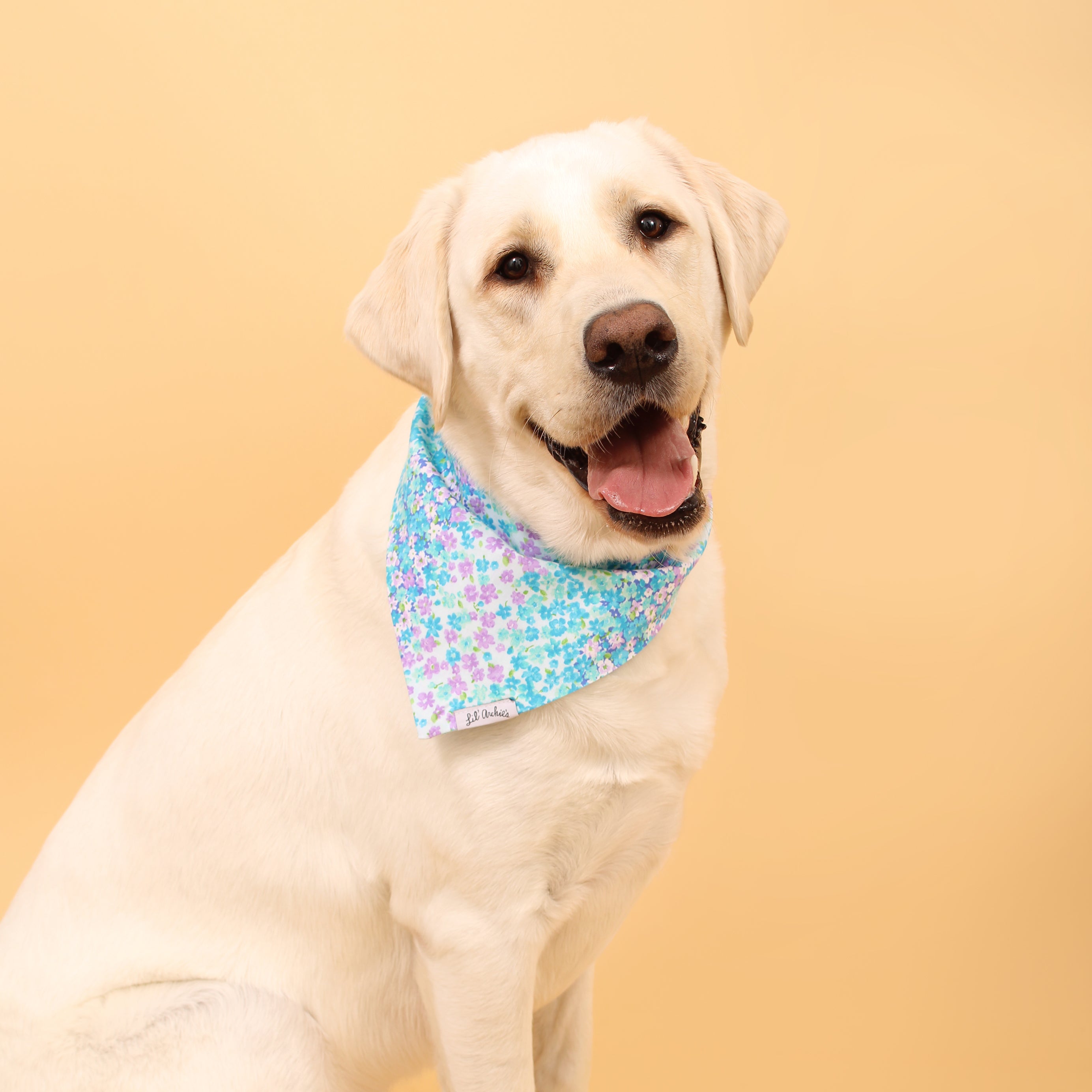 Floral Blast - Dog Bandana
