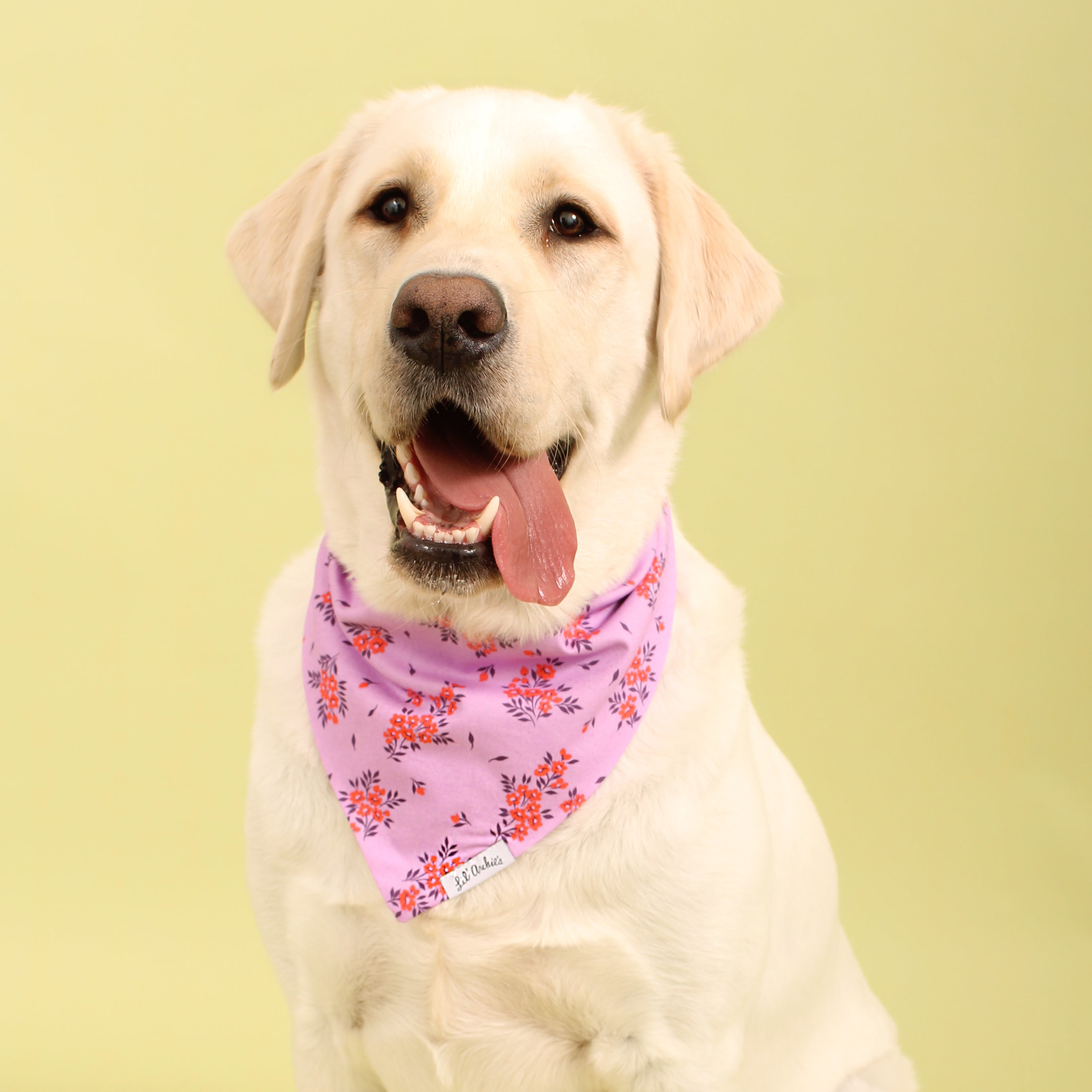 Juicy Grape Floral - Dog Bandana