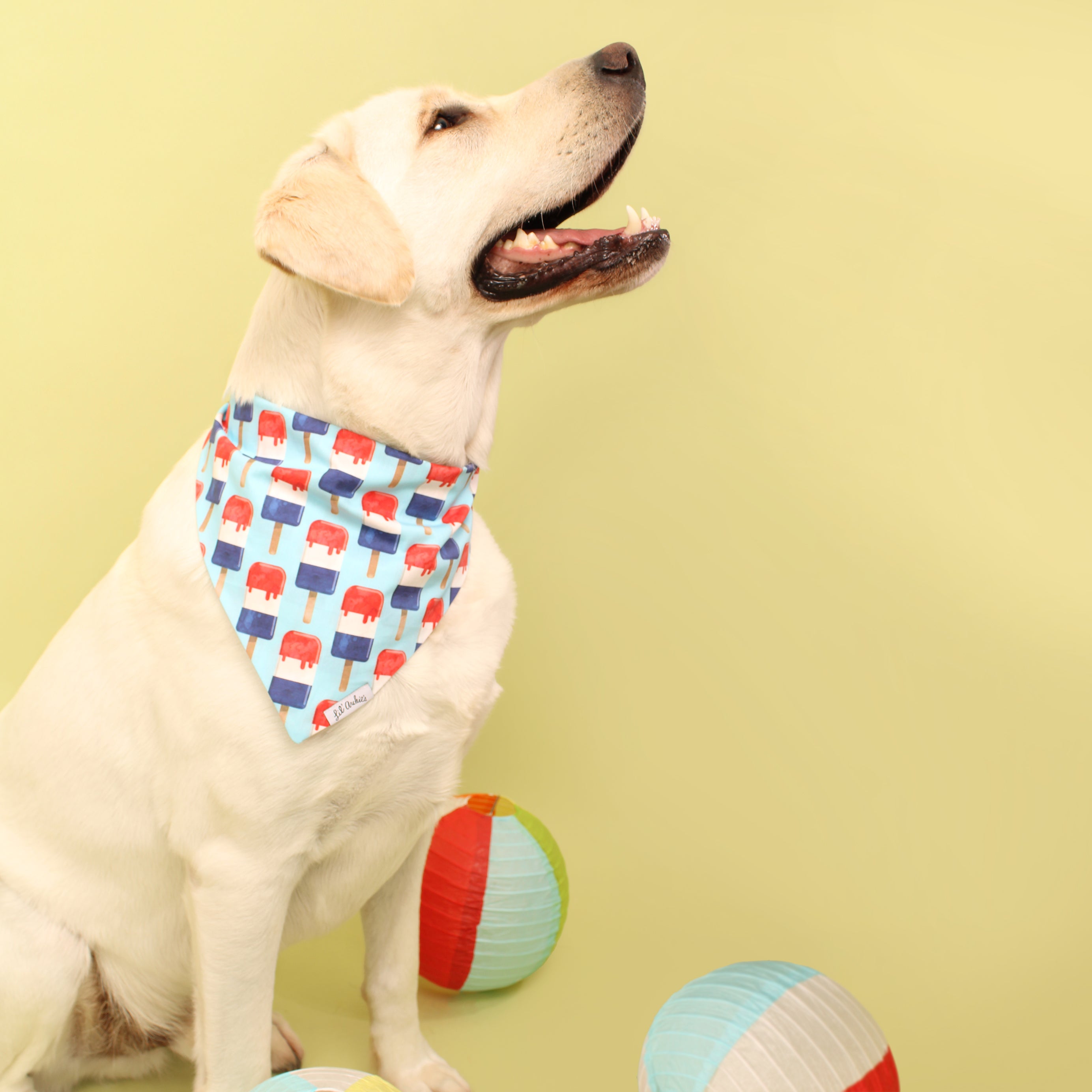 Poppin' Popsicles- Dog Bandana