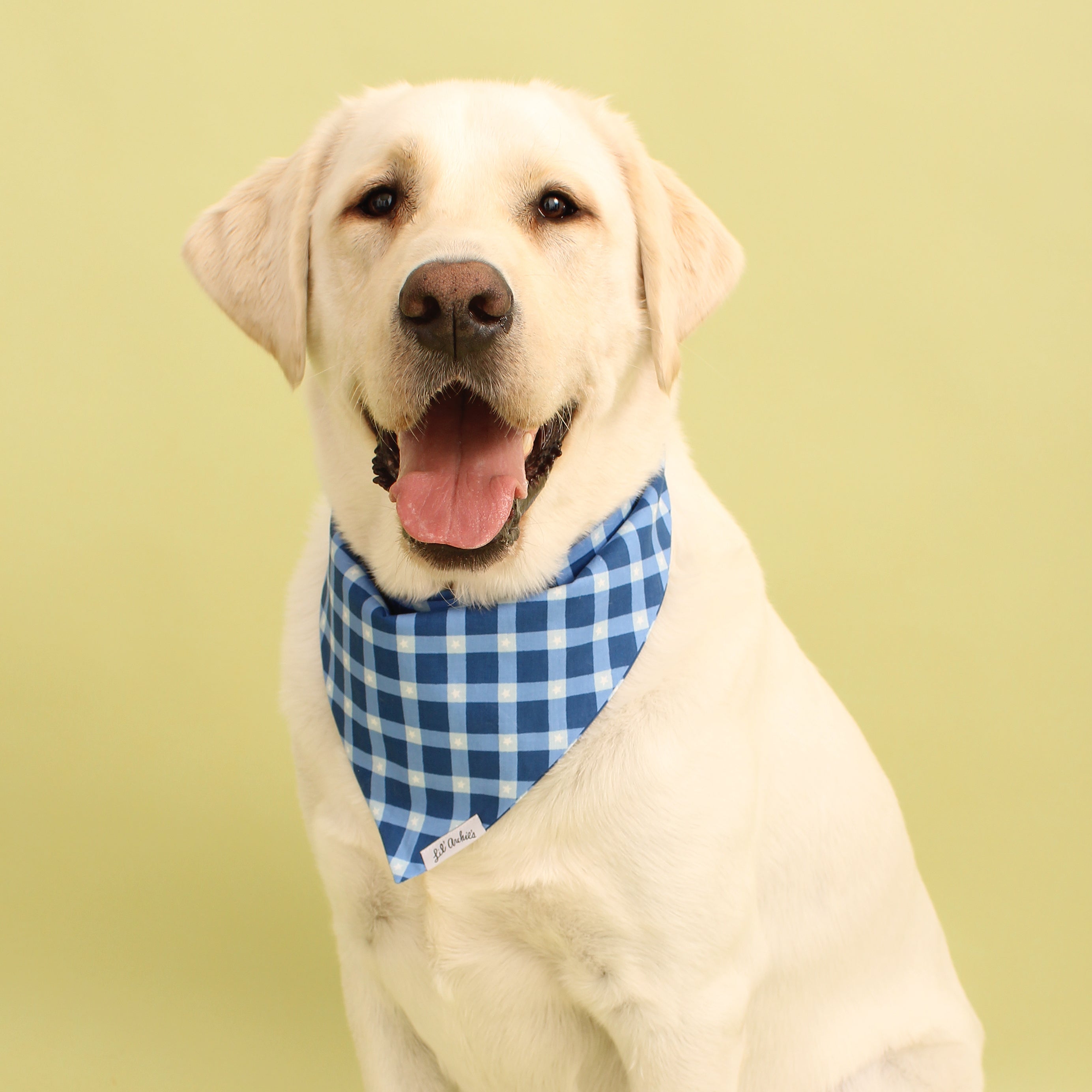 Star Plaid - Dog Bandana