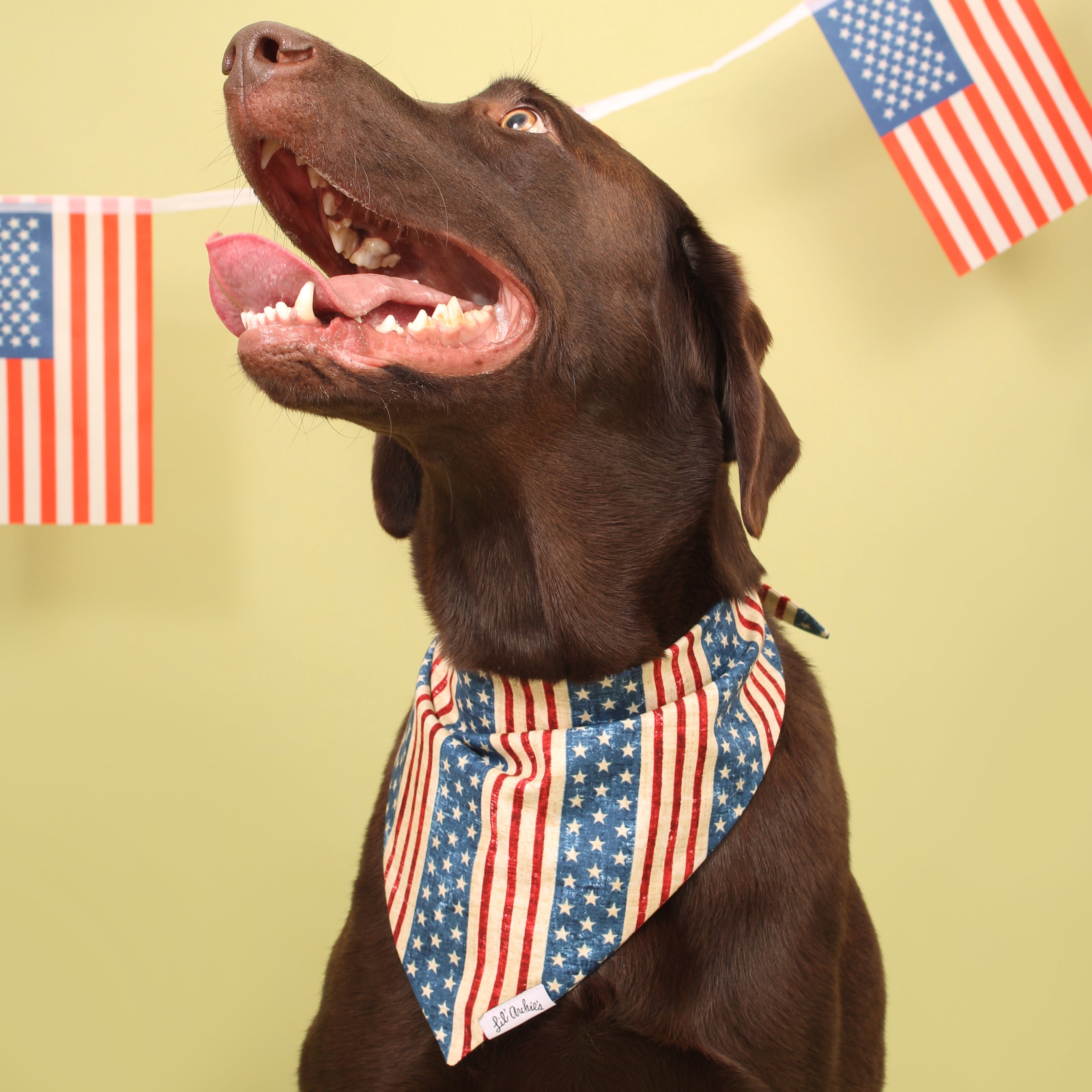 Stars and Stripes - Dog Bandana