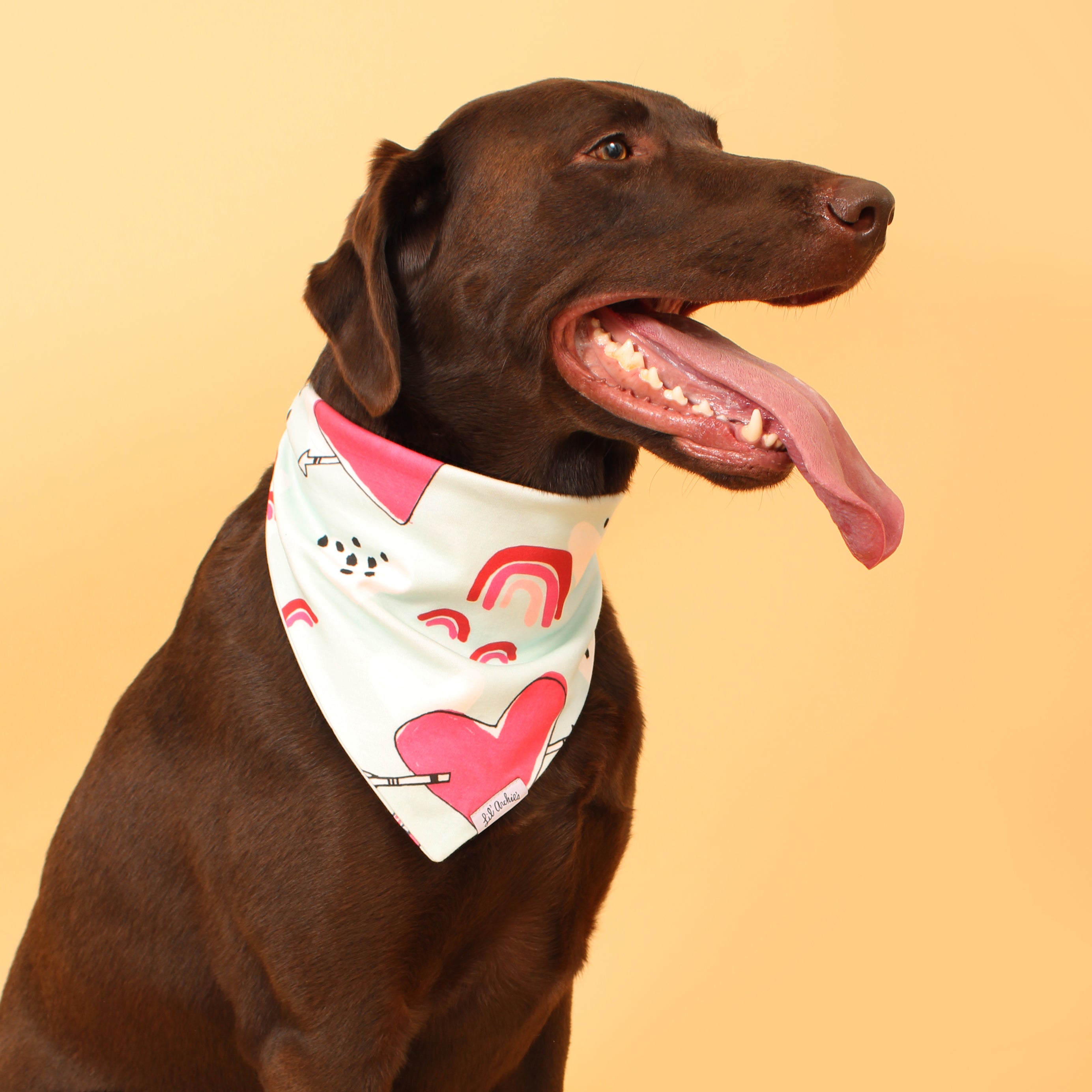 Forever Love- Dog Bandana