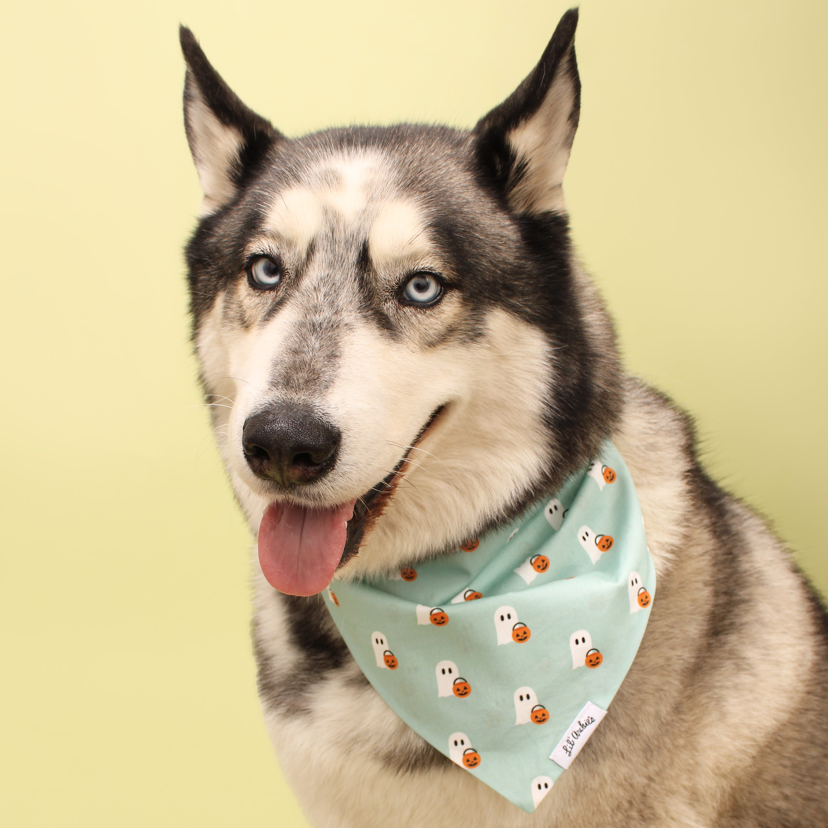 Ghostly Night- Dog Bandana