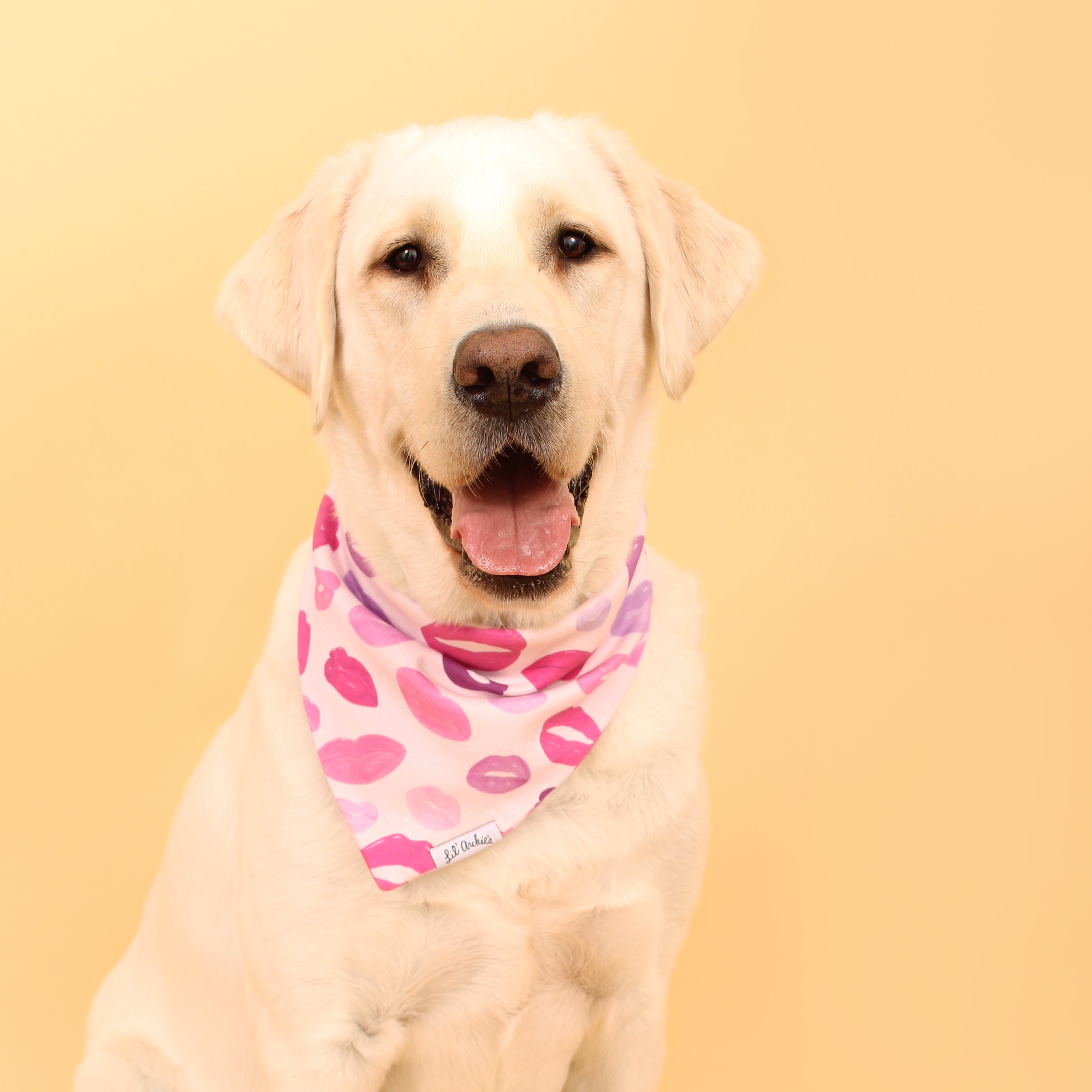 Kisses Galore - Dog Bandana