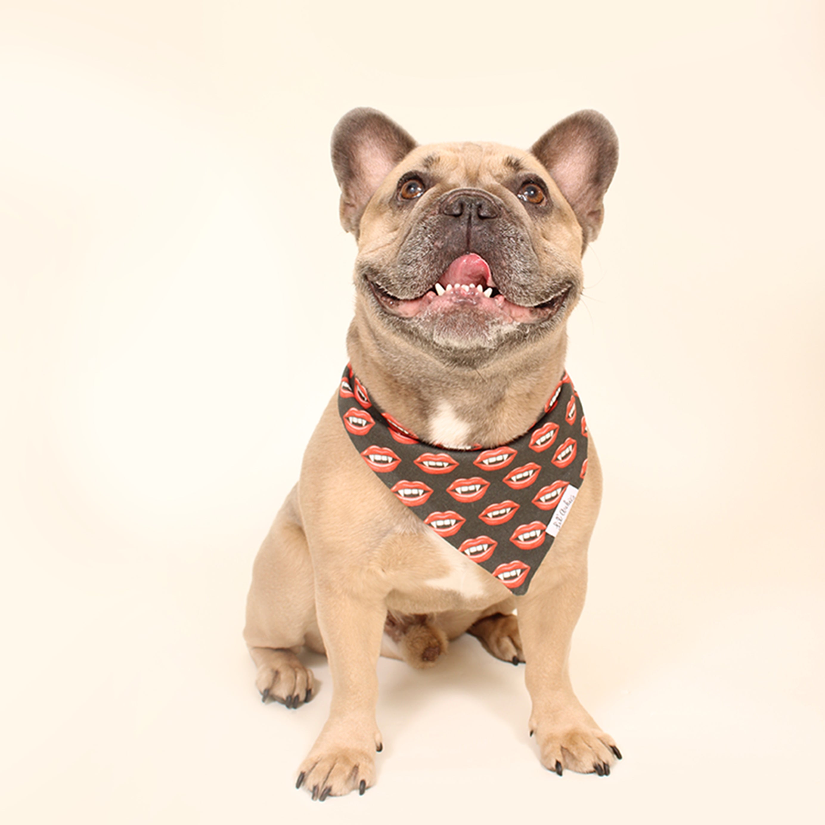 Blood Red Lips - Dog Bandana