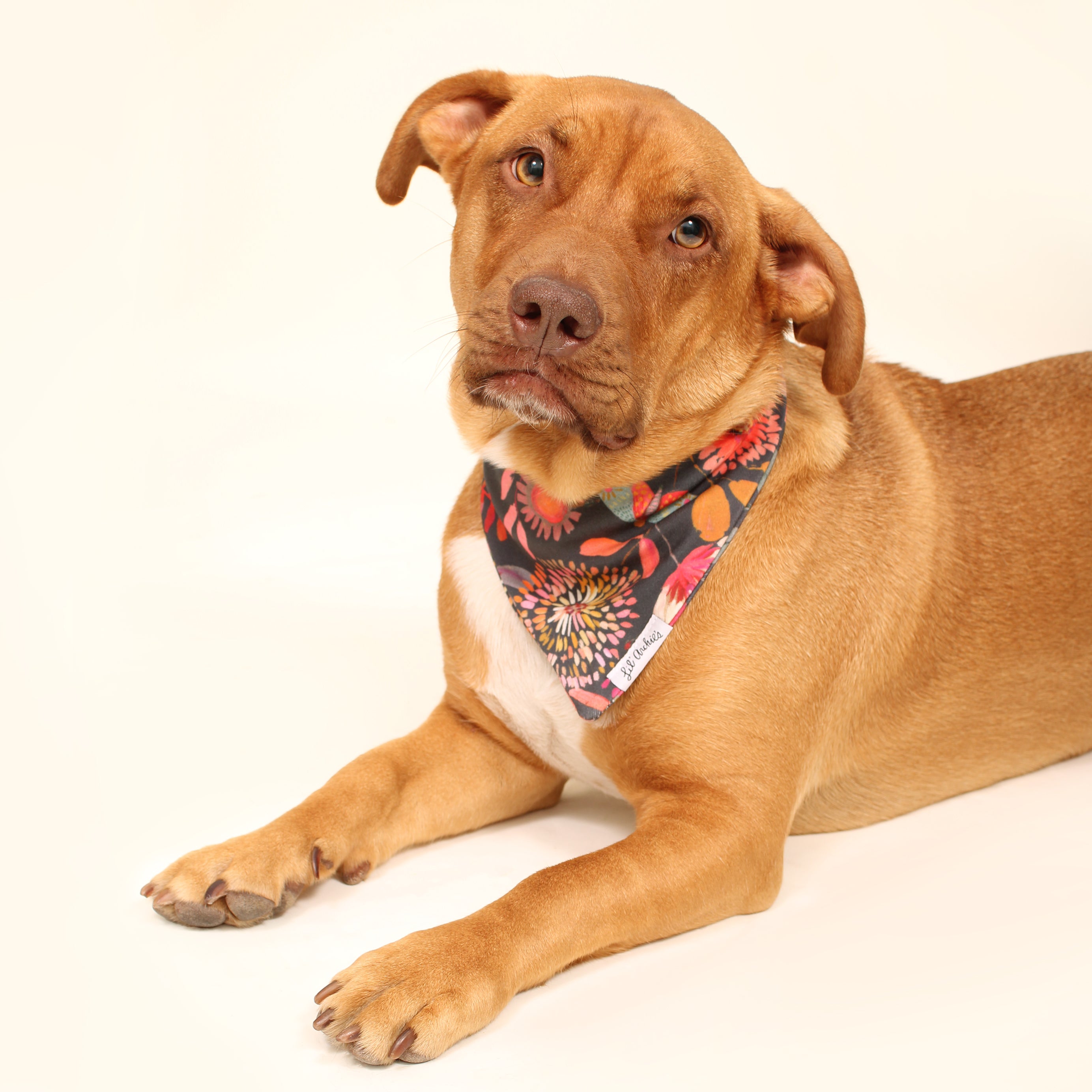 Flora + Fauna - Slimline Dog Bandana