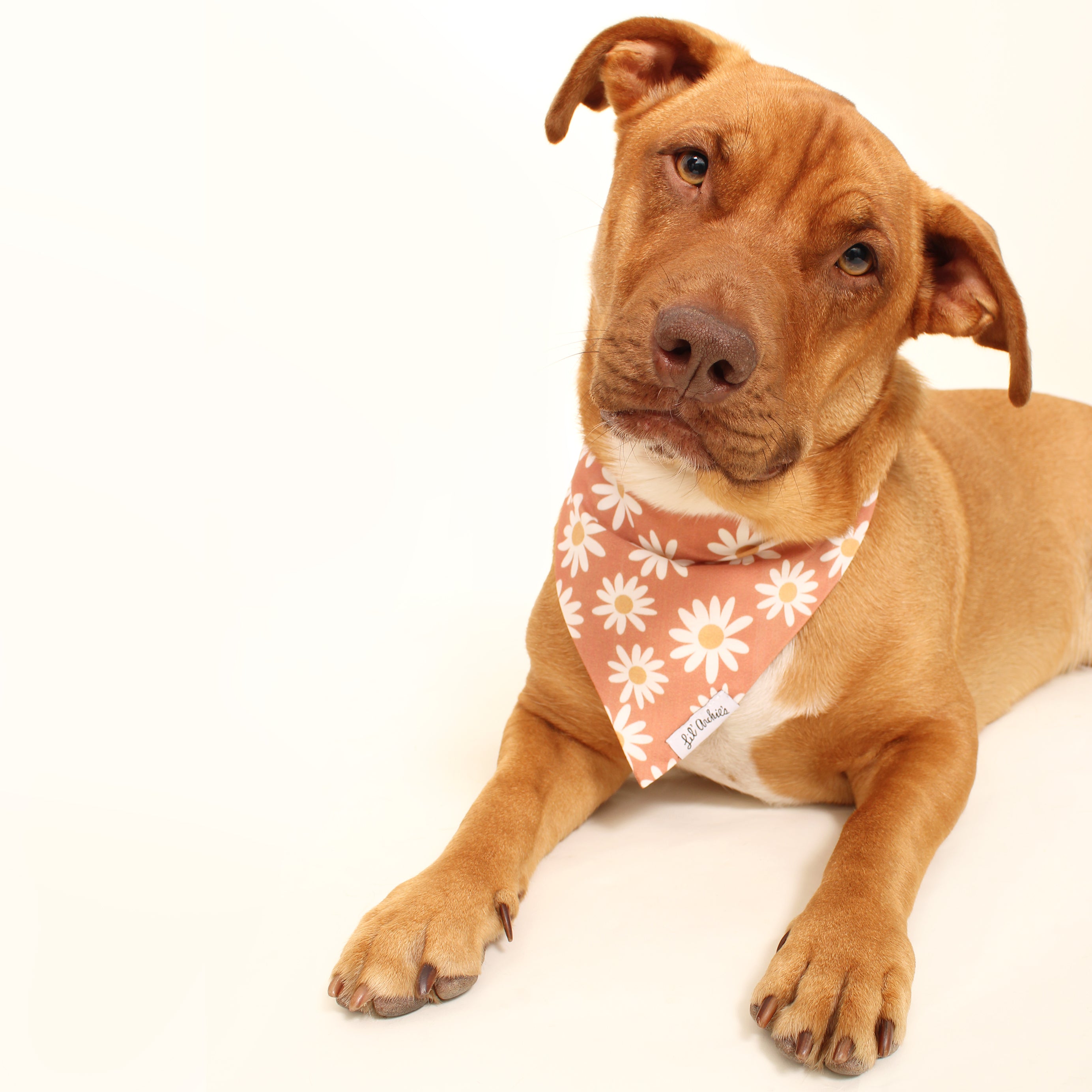 Indie Petals - Slimline Dog Bandana