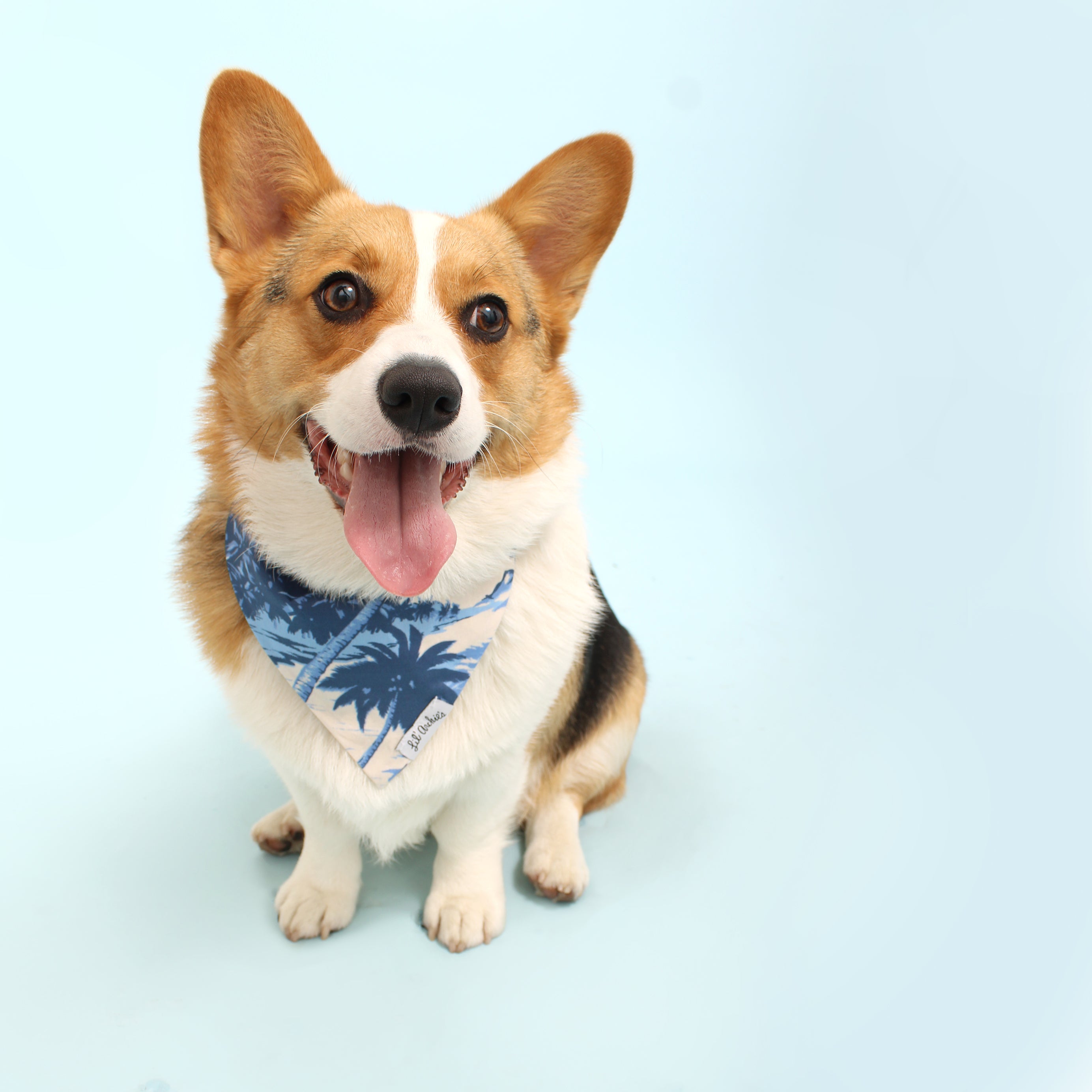 Kai + Palm - Slimline Reversible Dog Bandana