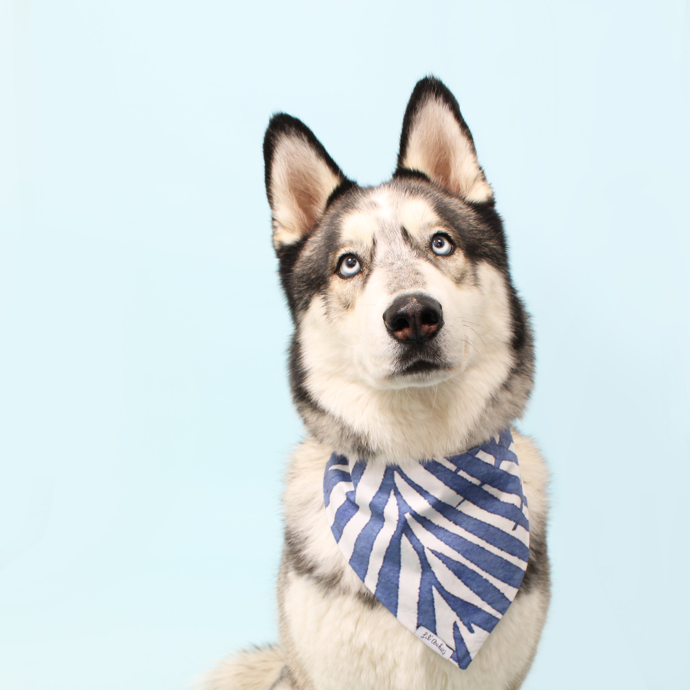 Kai + Palm - Slimline Reversible Dog Bandana