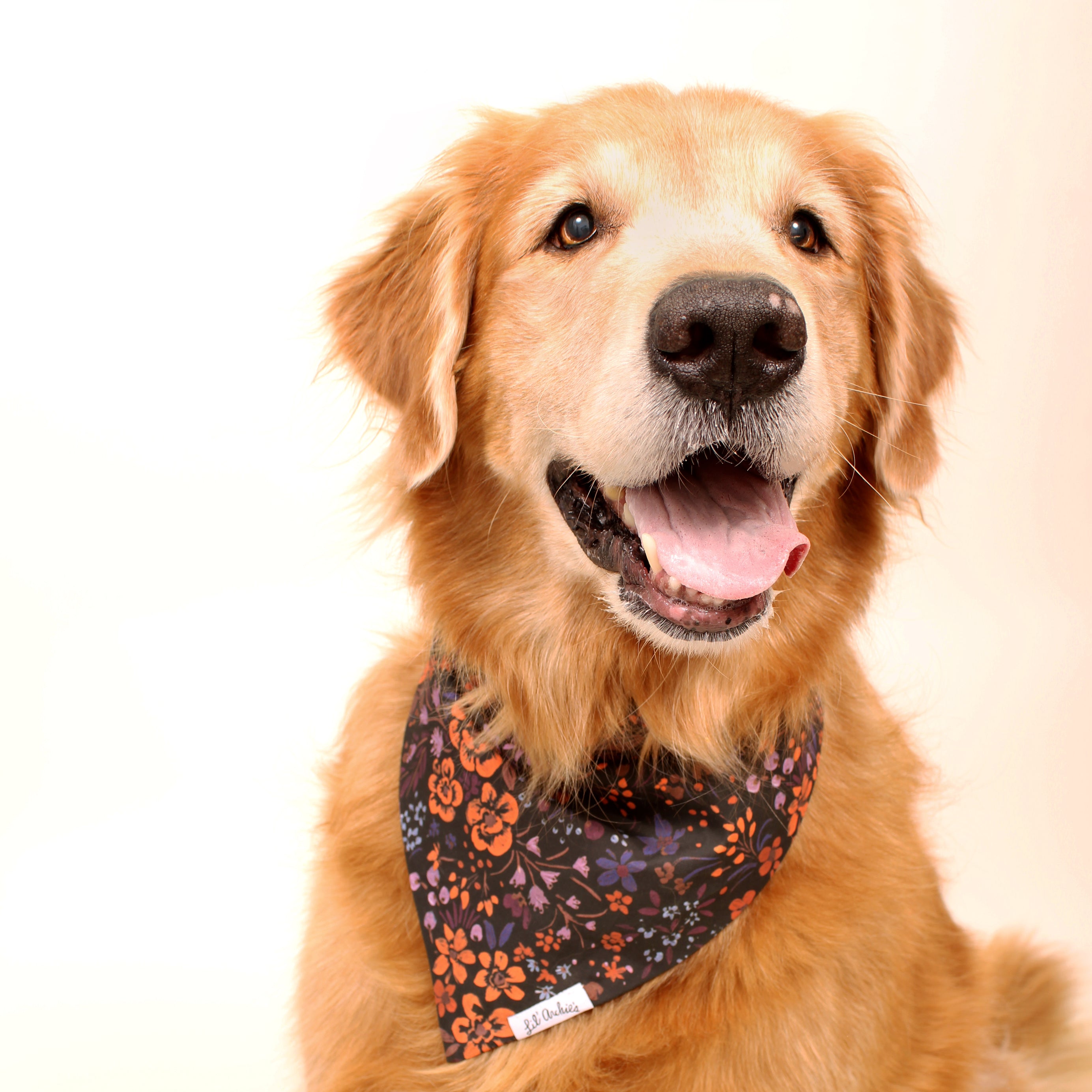 Moonlit Garden - Dog Bandana