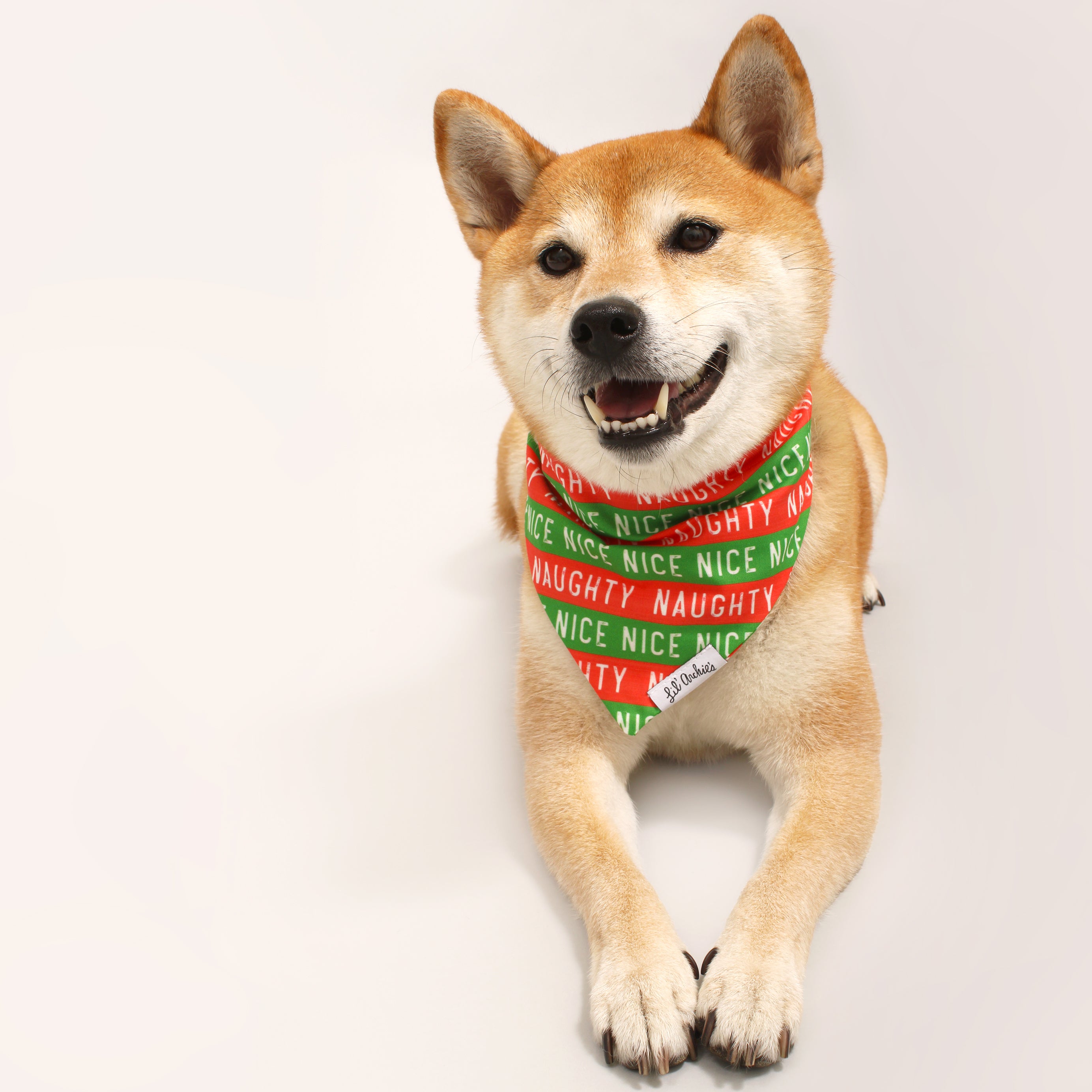 Bandana shiba best sale