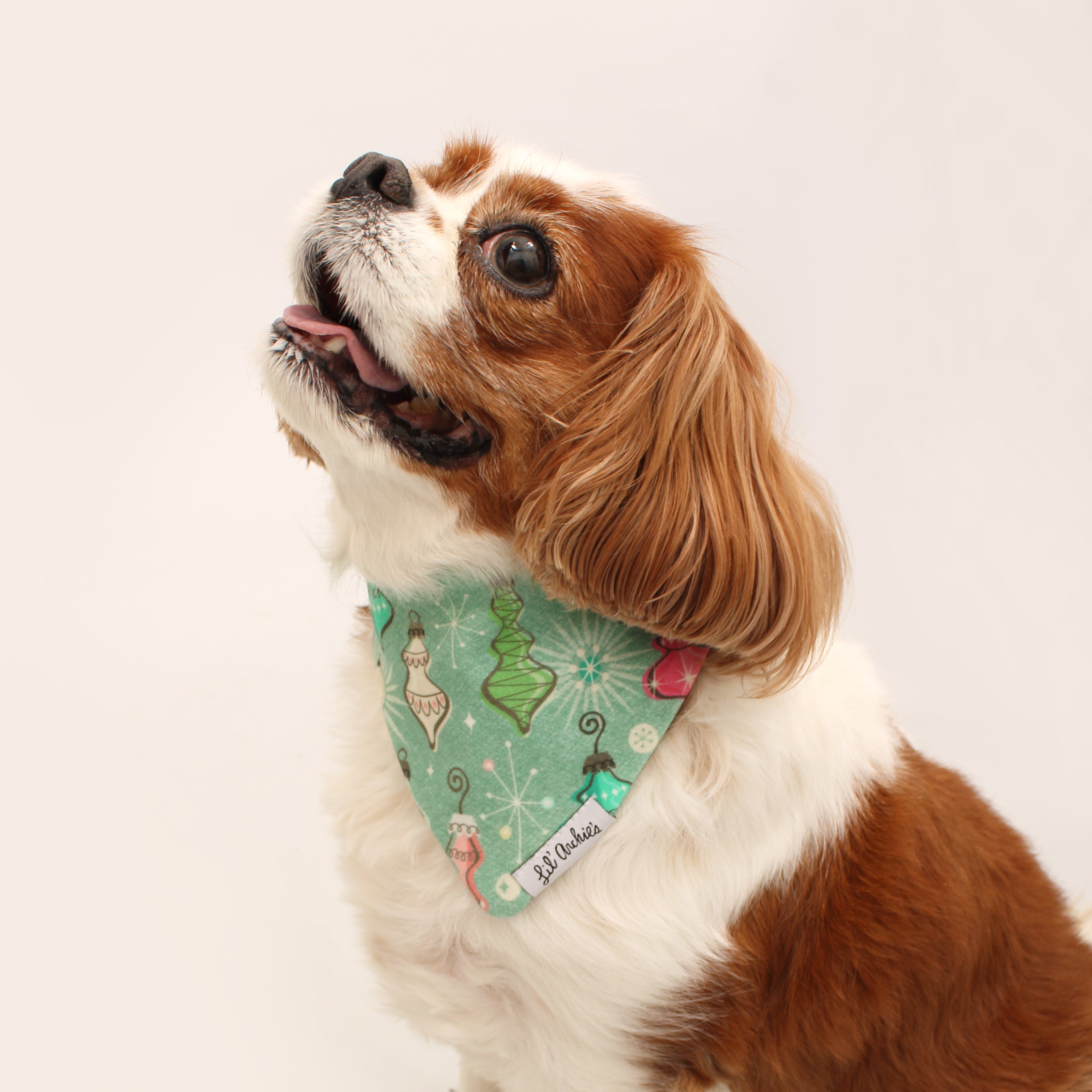 Vintage Ornamental - Holiday Dog Bandana