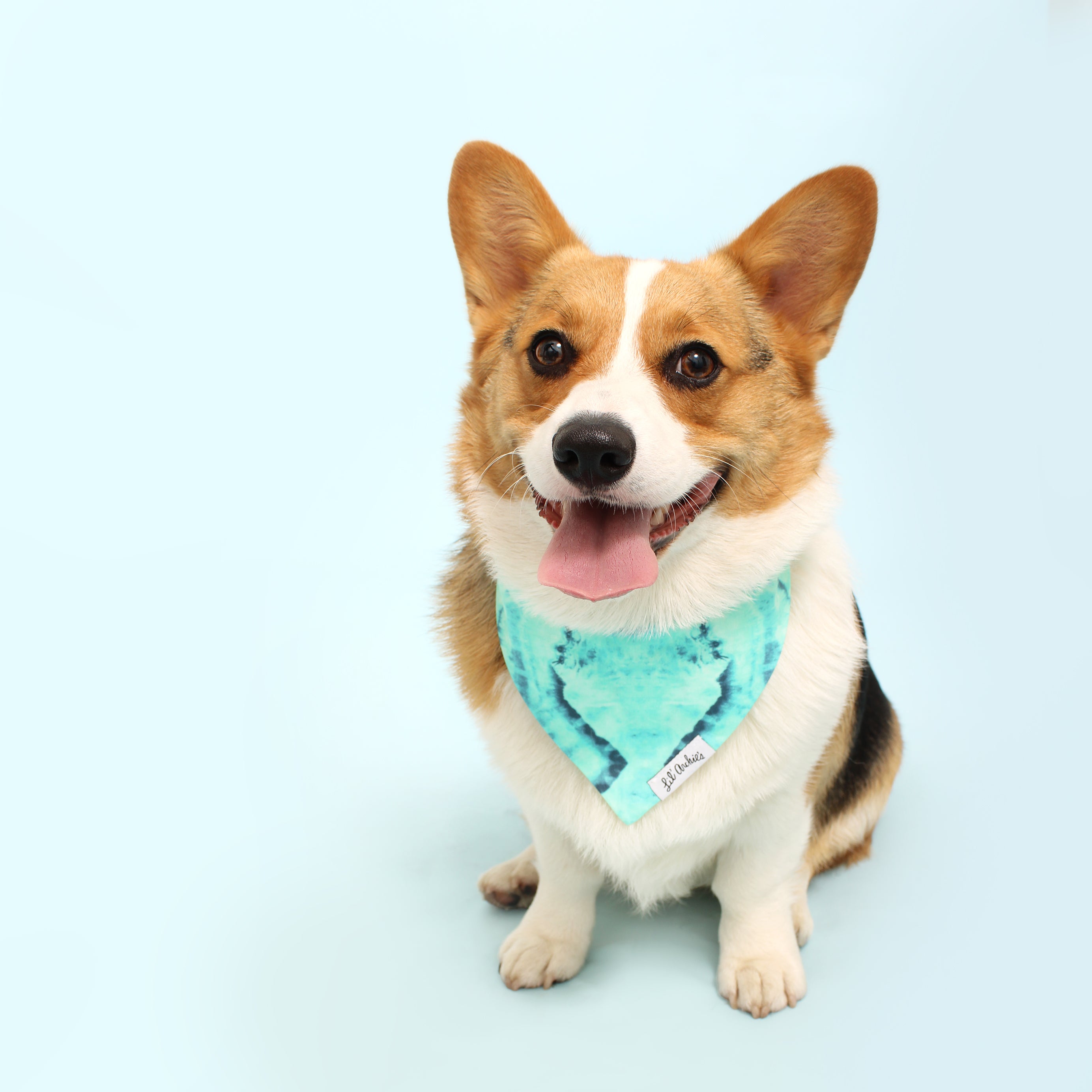 Pacifica 2 - Dog Bandana