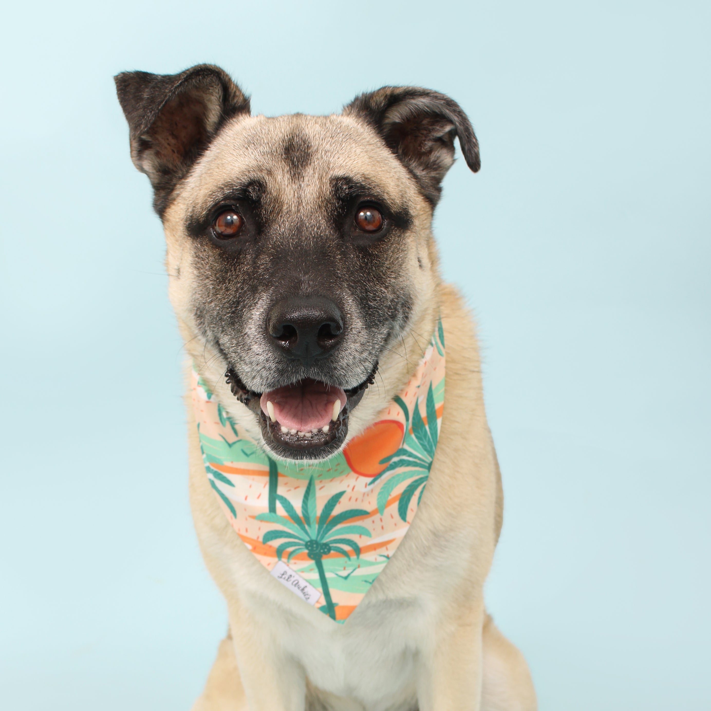 Pina Colada - Dog Bandana