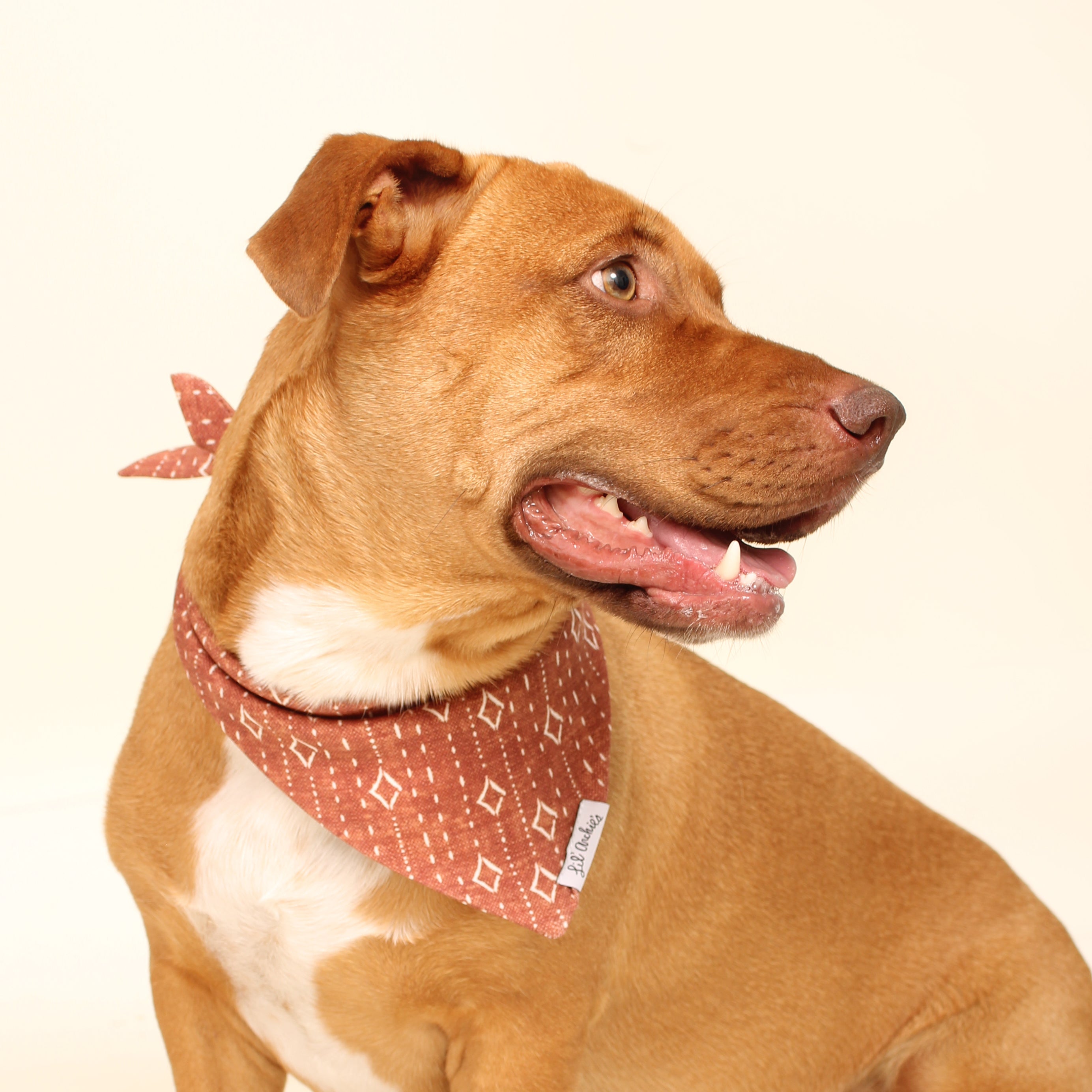 Rustic Diamonds - Dog Bandana