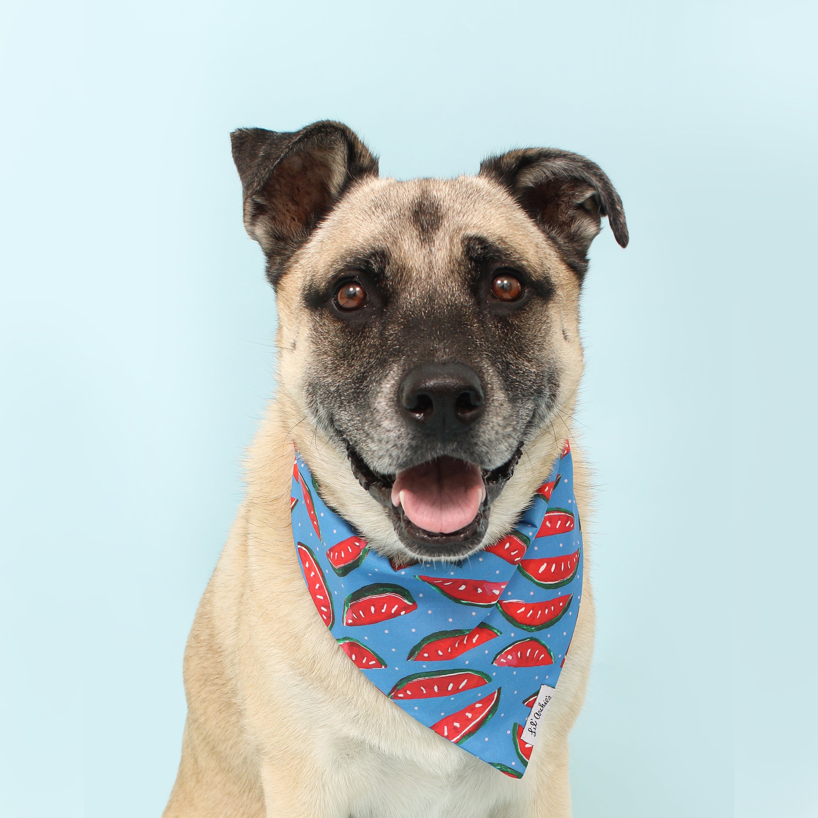 Spittin' Seeds - Dog Bandana