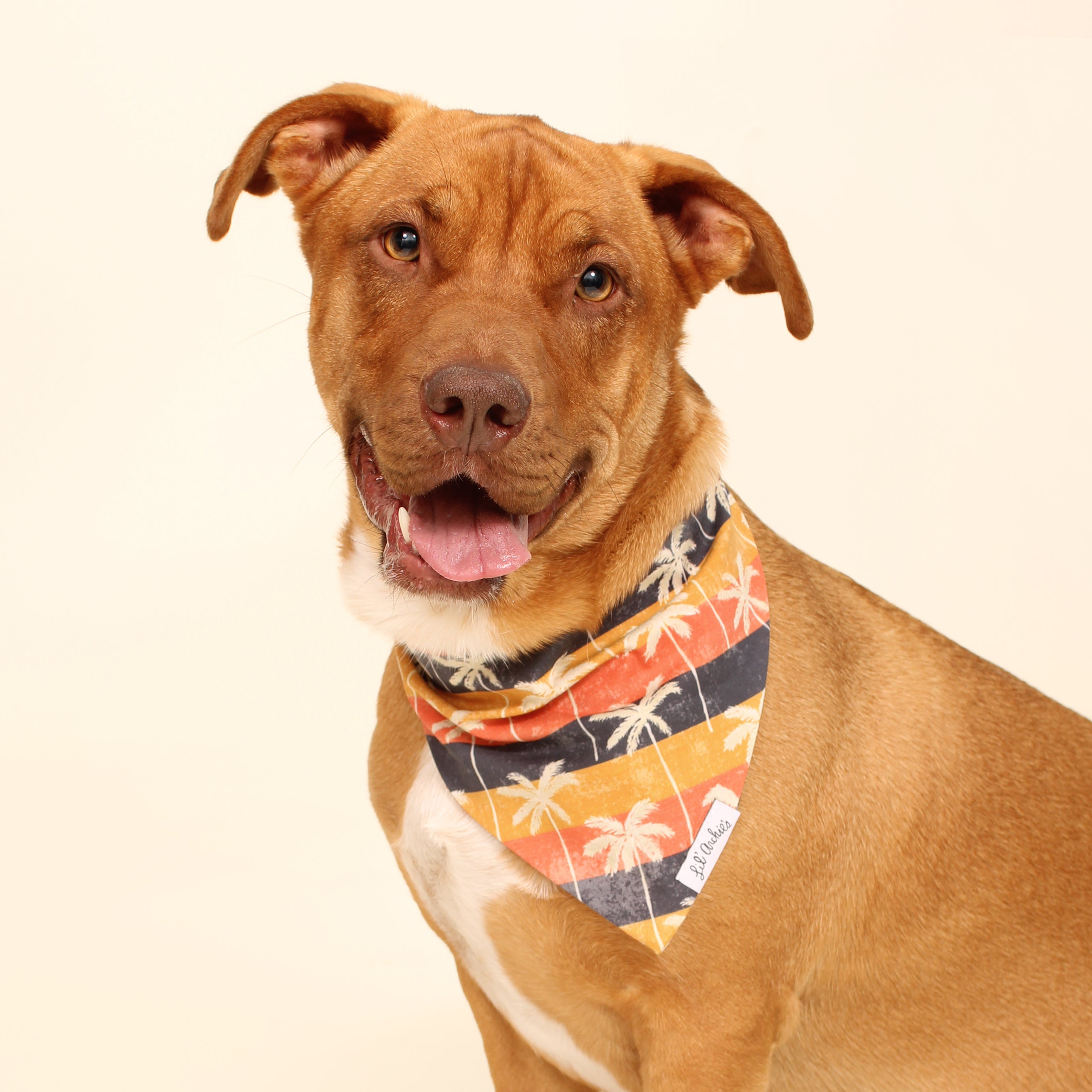 '70s Sunset- Dog Bandana