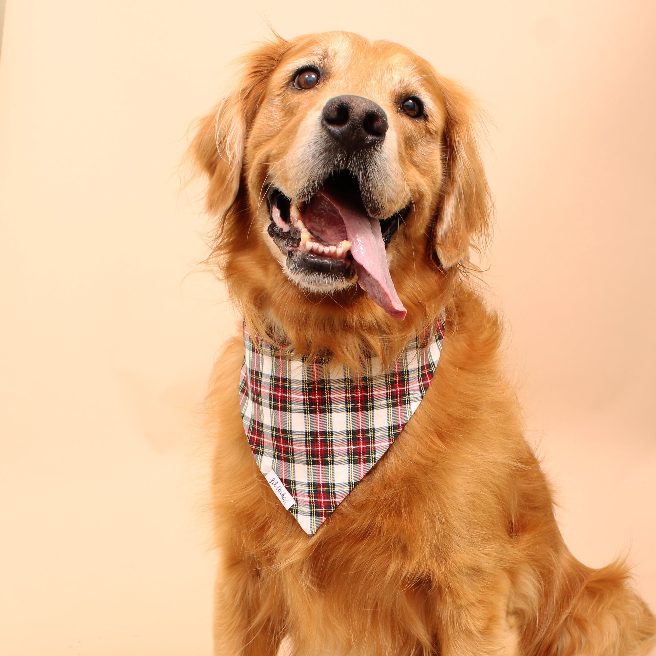 Talisker - Dog Bandana