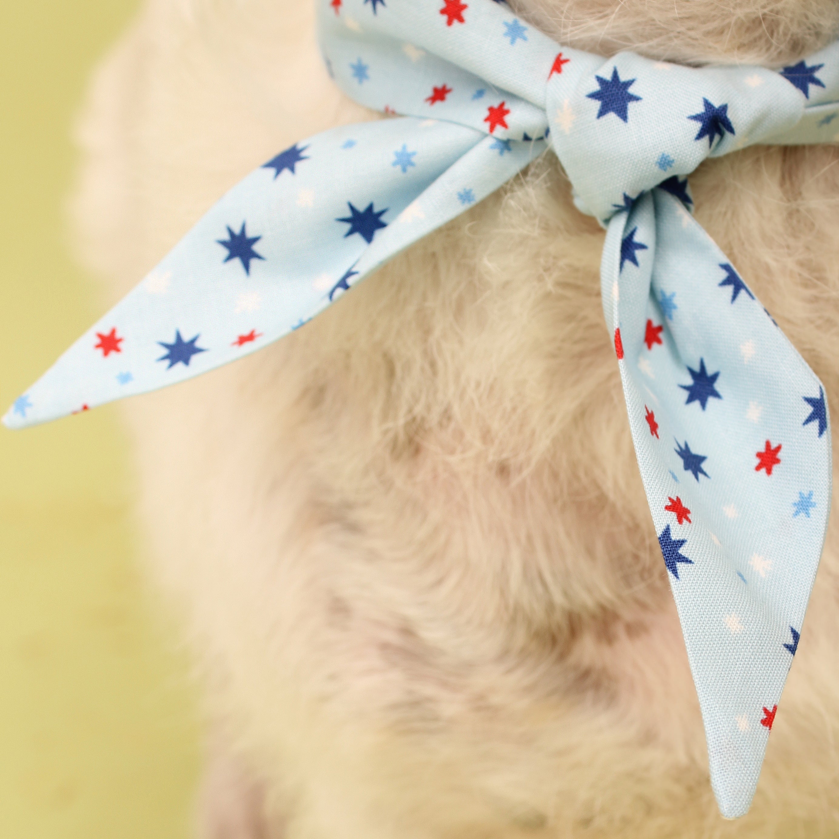 Happy Stars - Frenchie Twist Dog Necktie