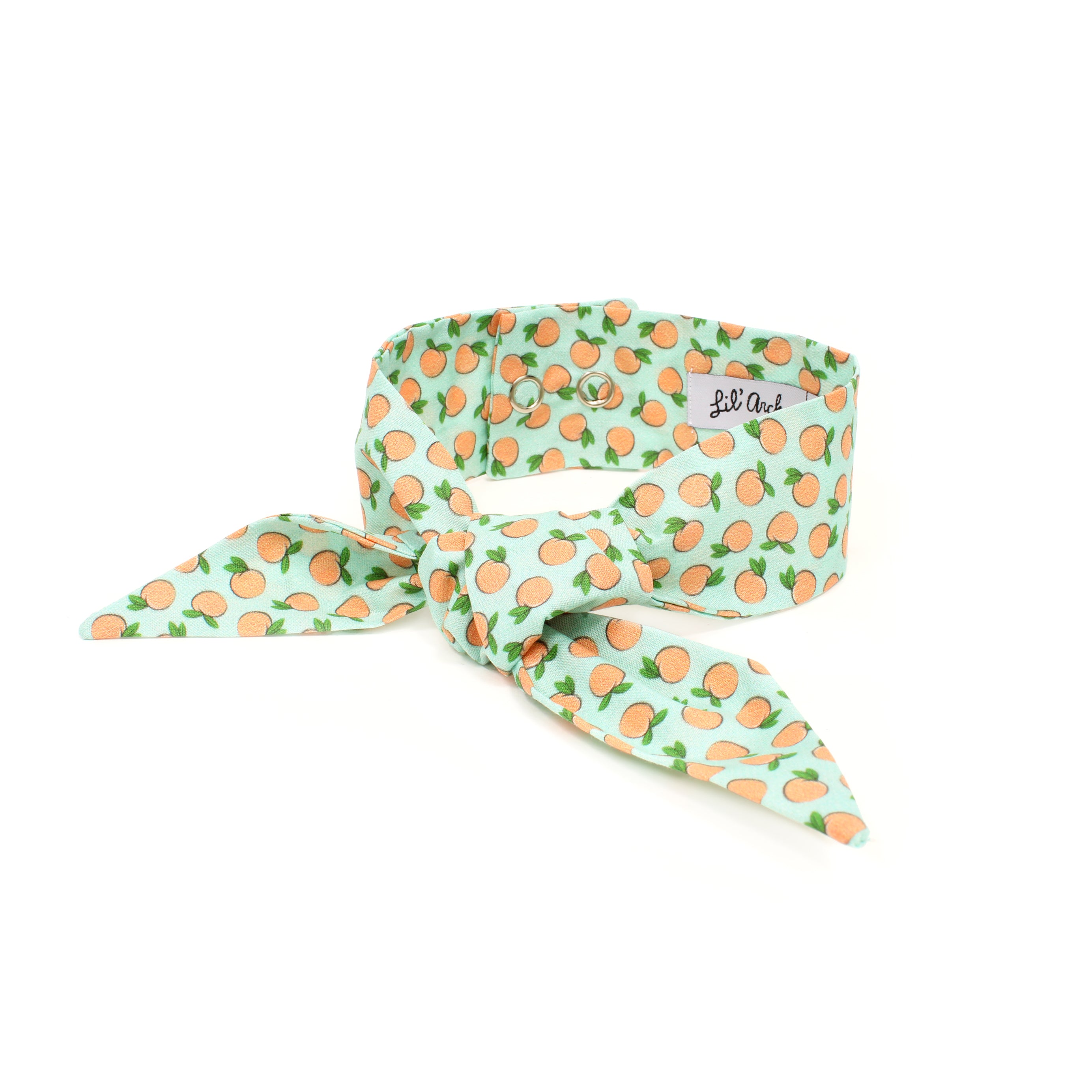 Peachy Keen - Frenchie Twist Dog Necktie