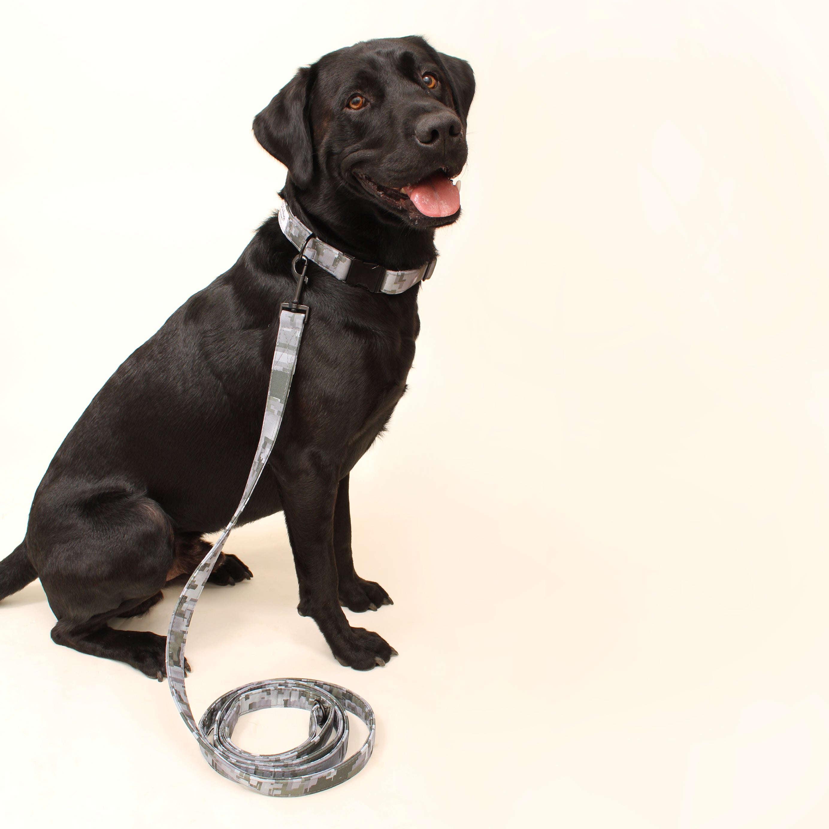 Hike Day Recycled Dog Leash