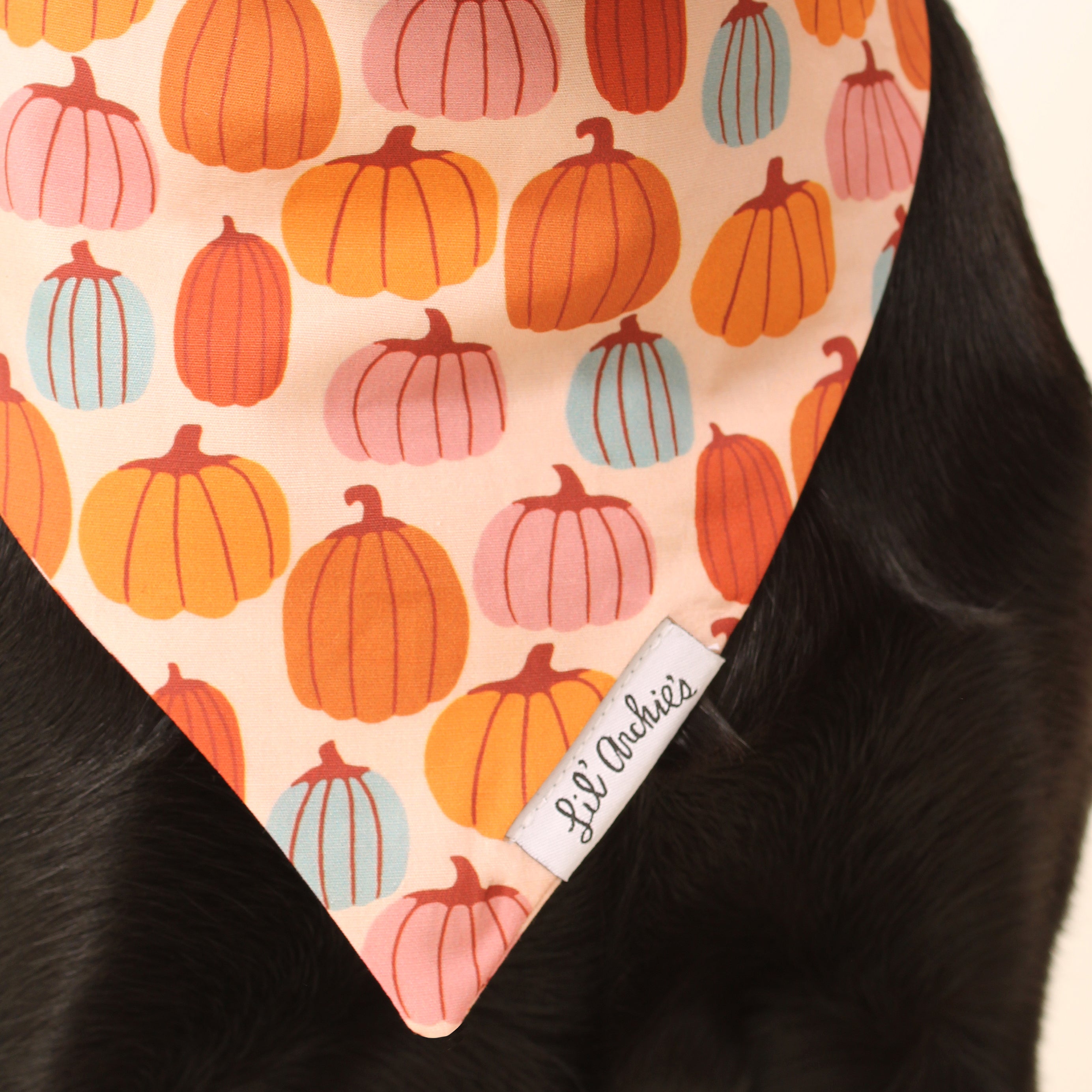 Picking Pumpkins - Slimline Dog Bandana