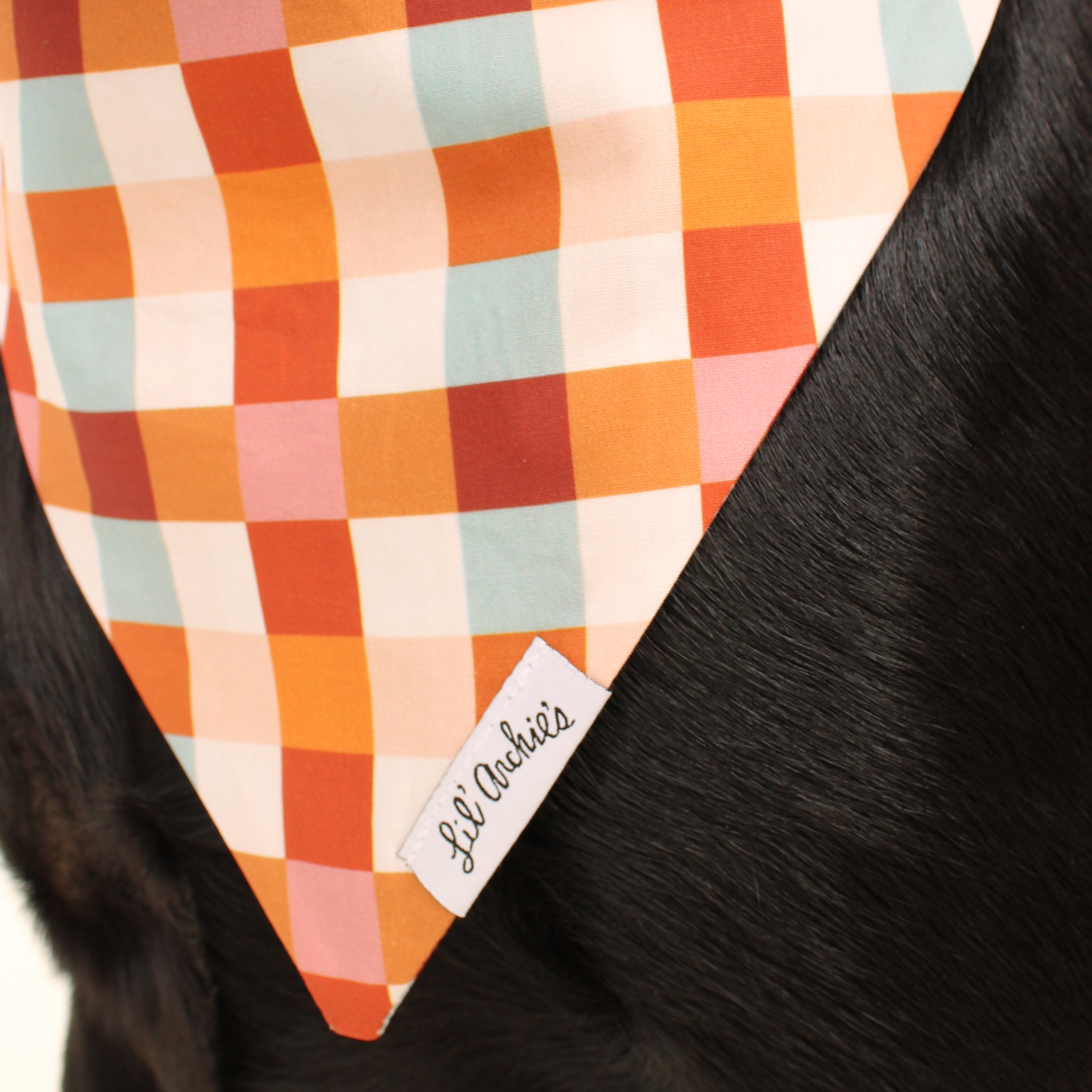 Poppin' Plaid - Slimline Dog Bandana