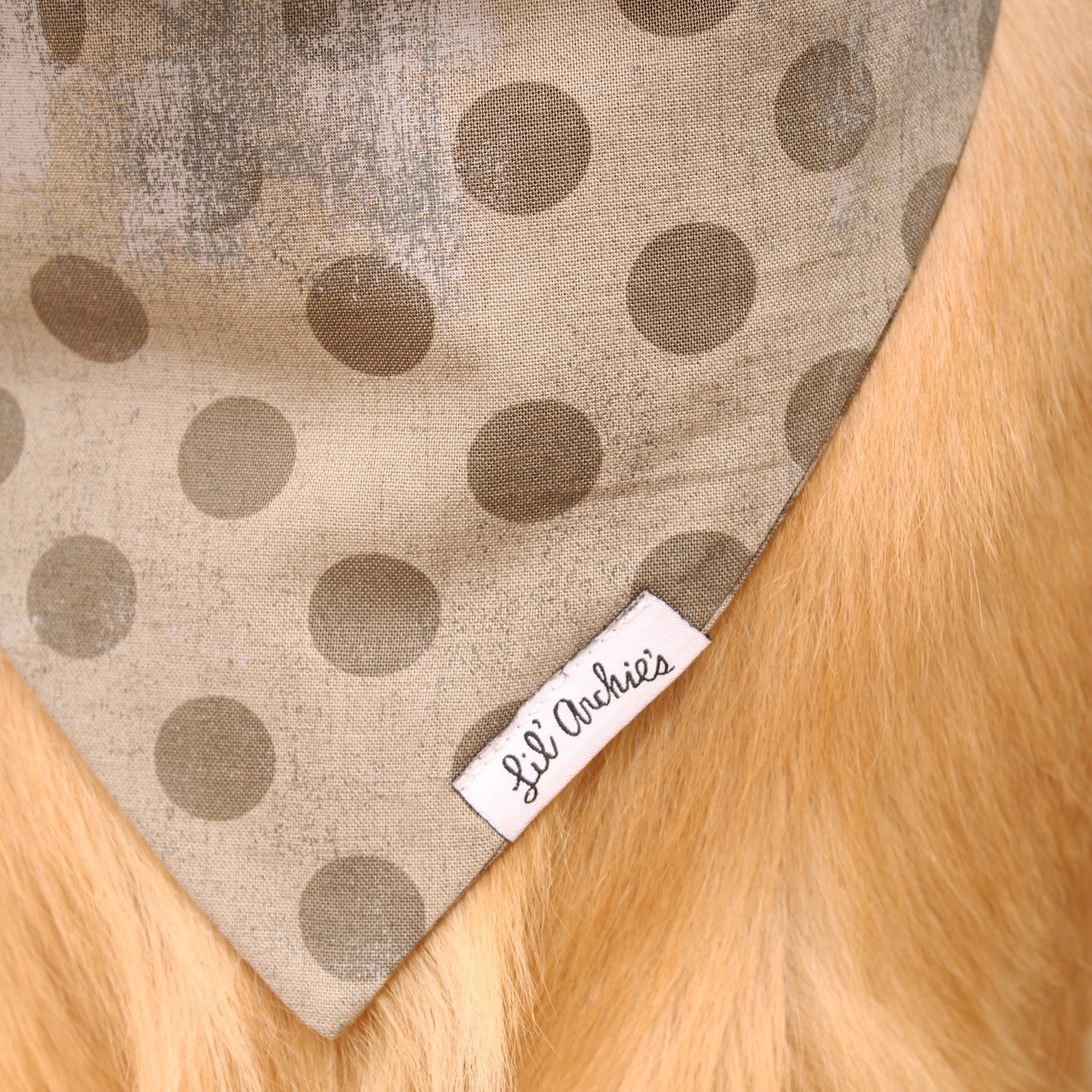 Steam Polka - Slimline Dog Bandana